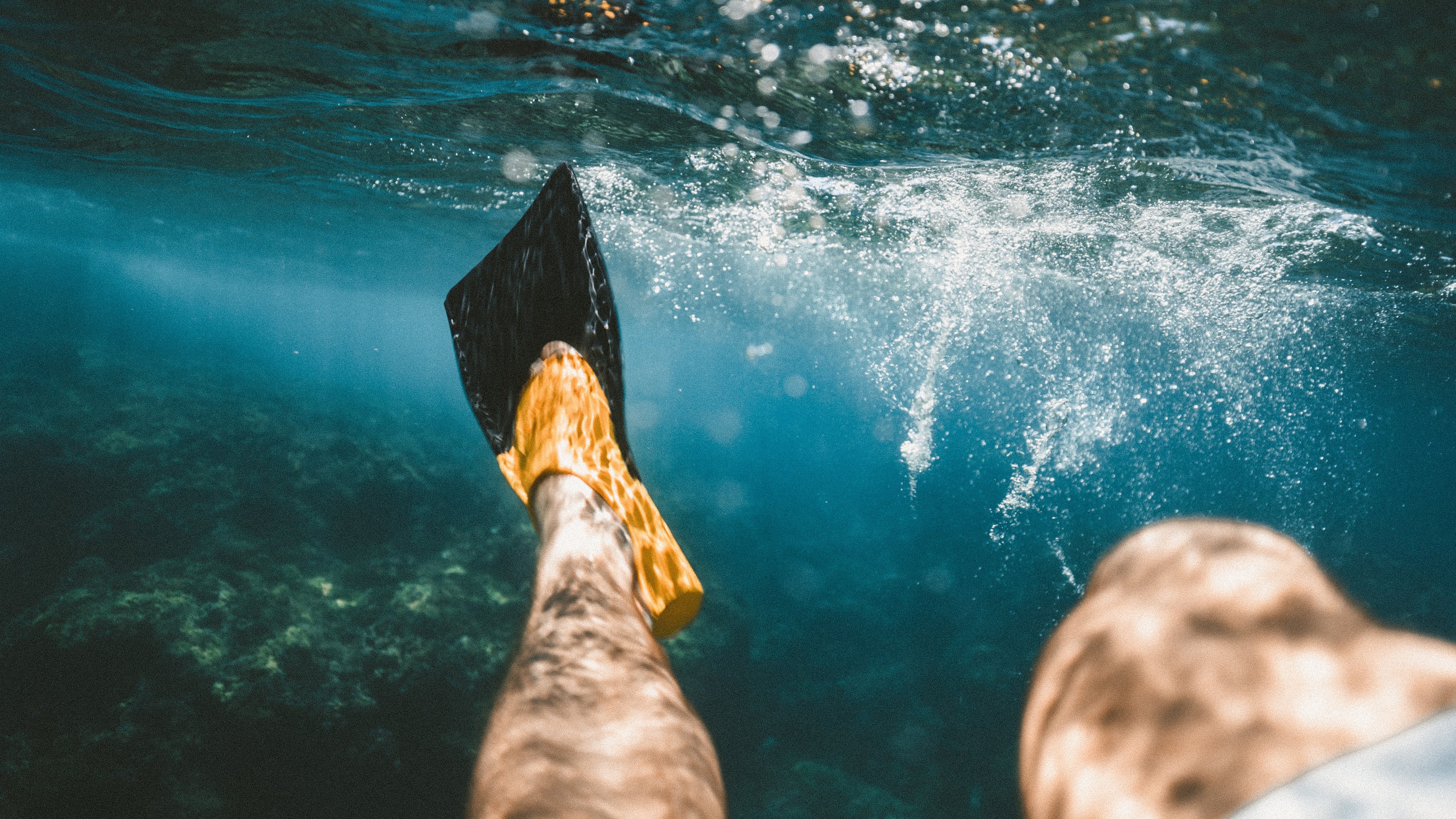 4K,创意,水下摄影