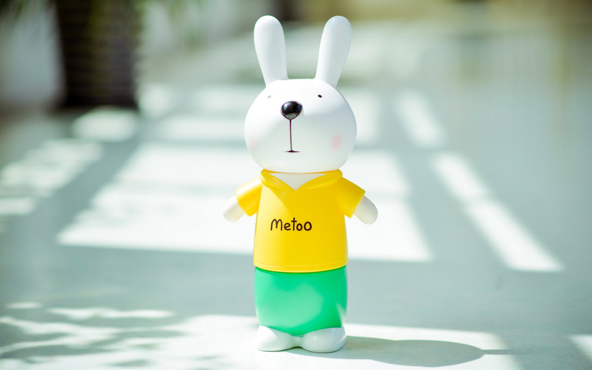 小清新,静物写真