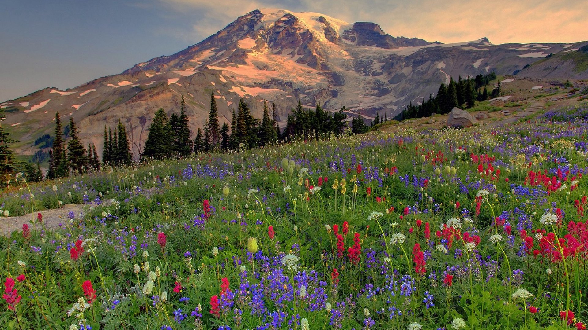 风景,自然风光,山川,花海