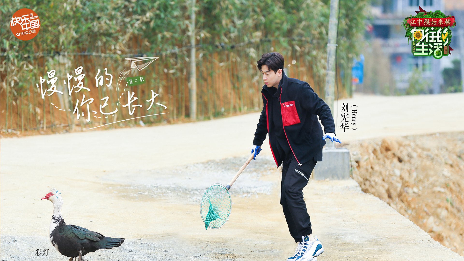 影视,综艺,向往的生活2,刘宪华