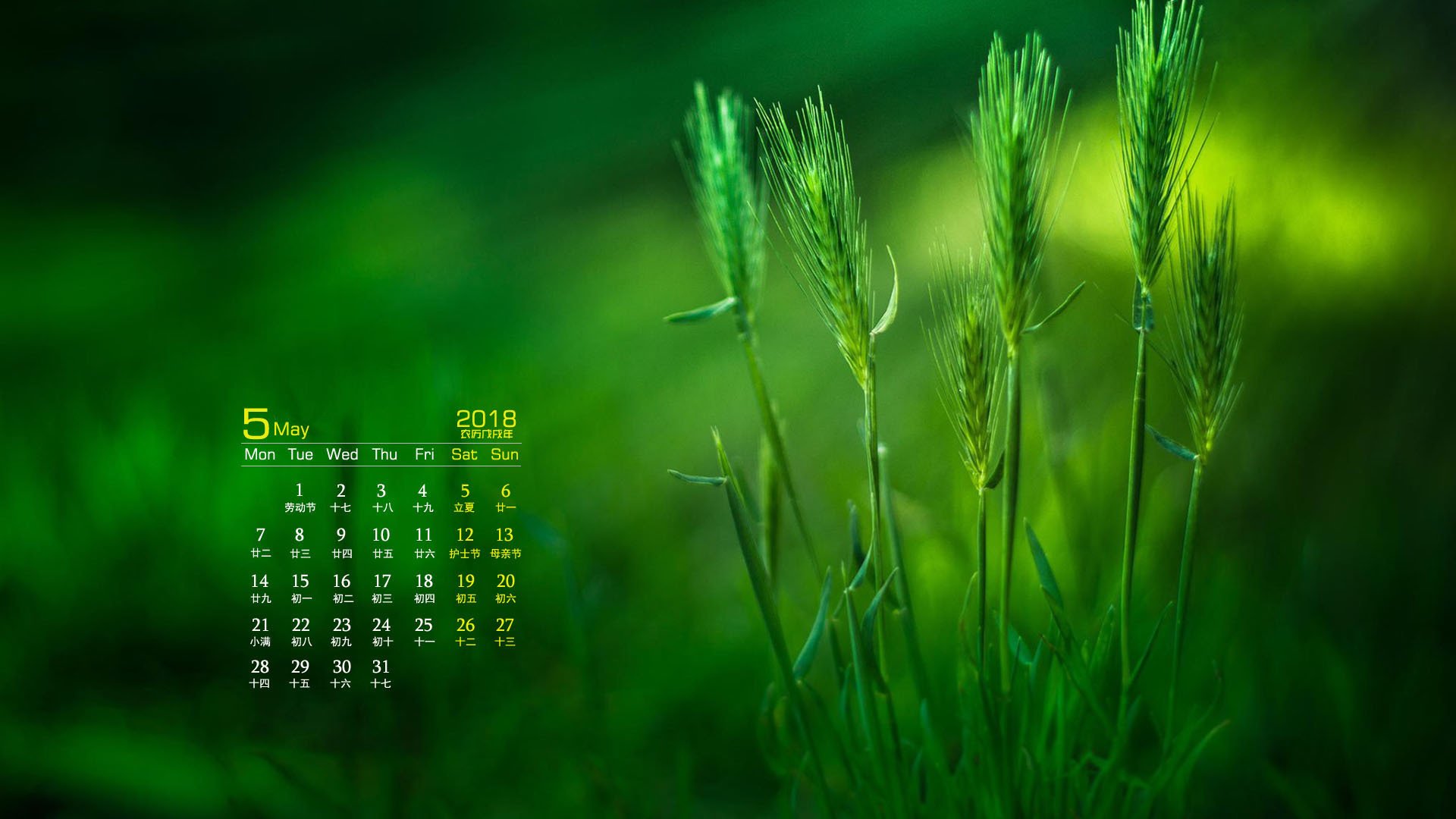 月历,2018年5月
