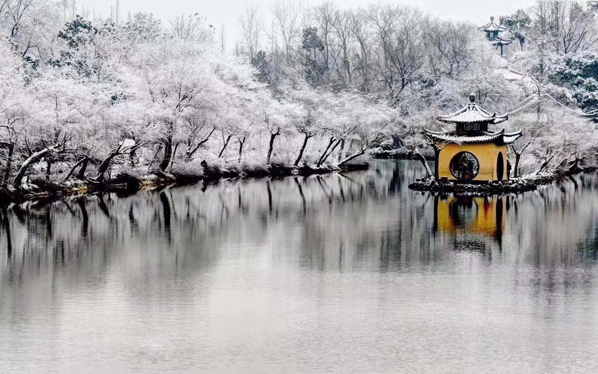 旅游胜地,湖中树林
