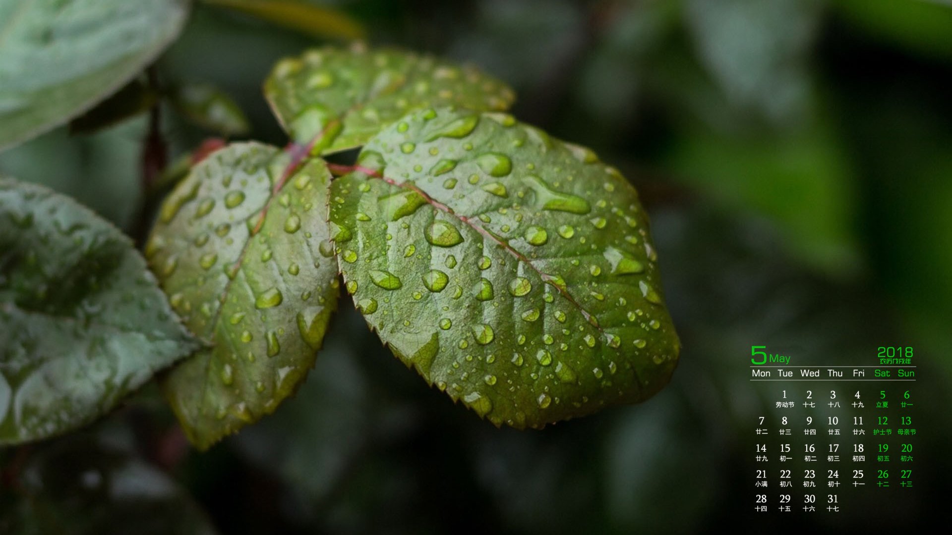 月历,2018年5月