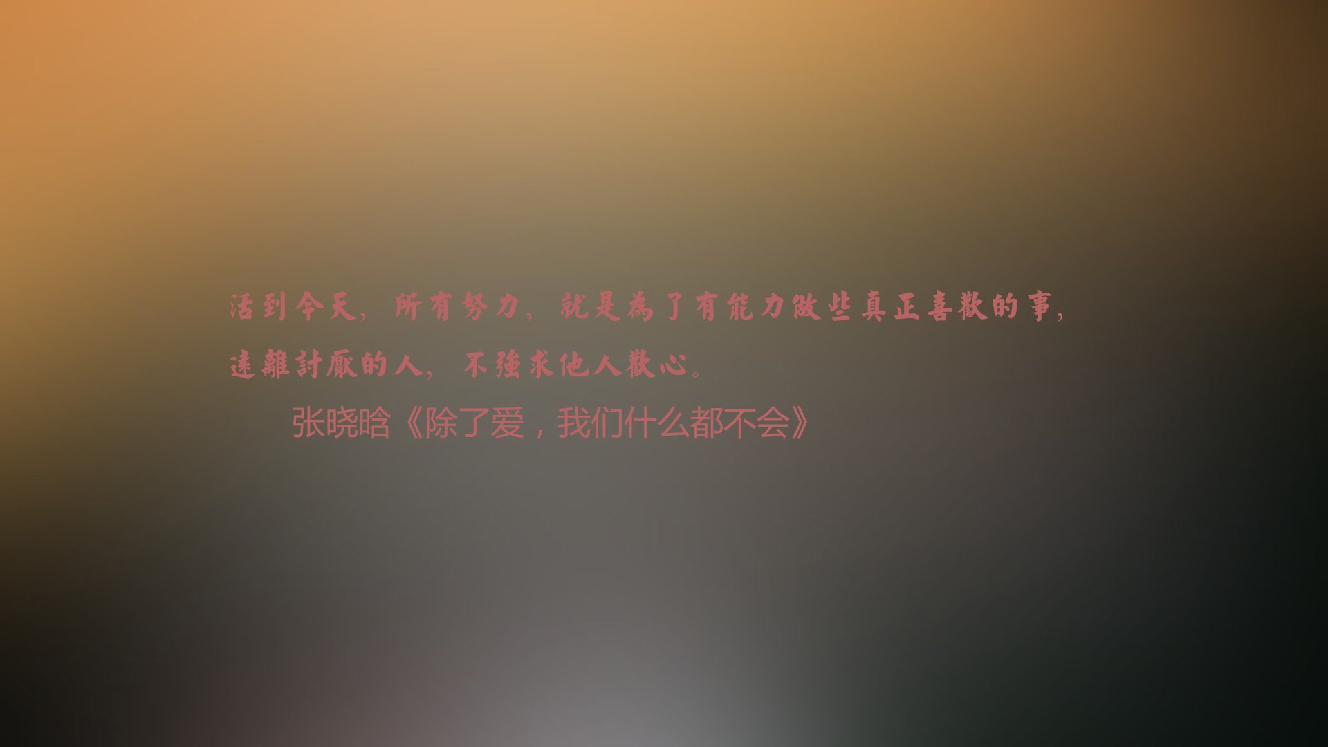 文字,张晓晗,语录