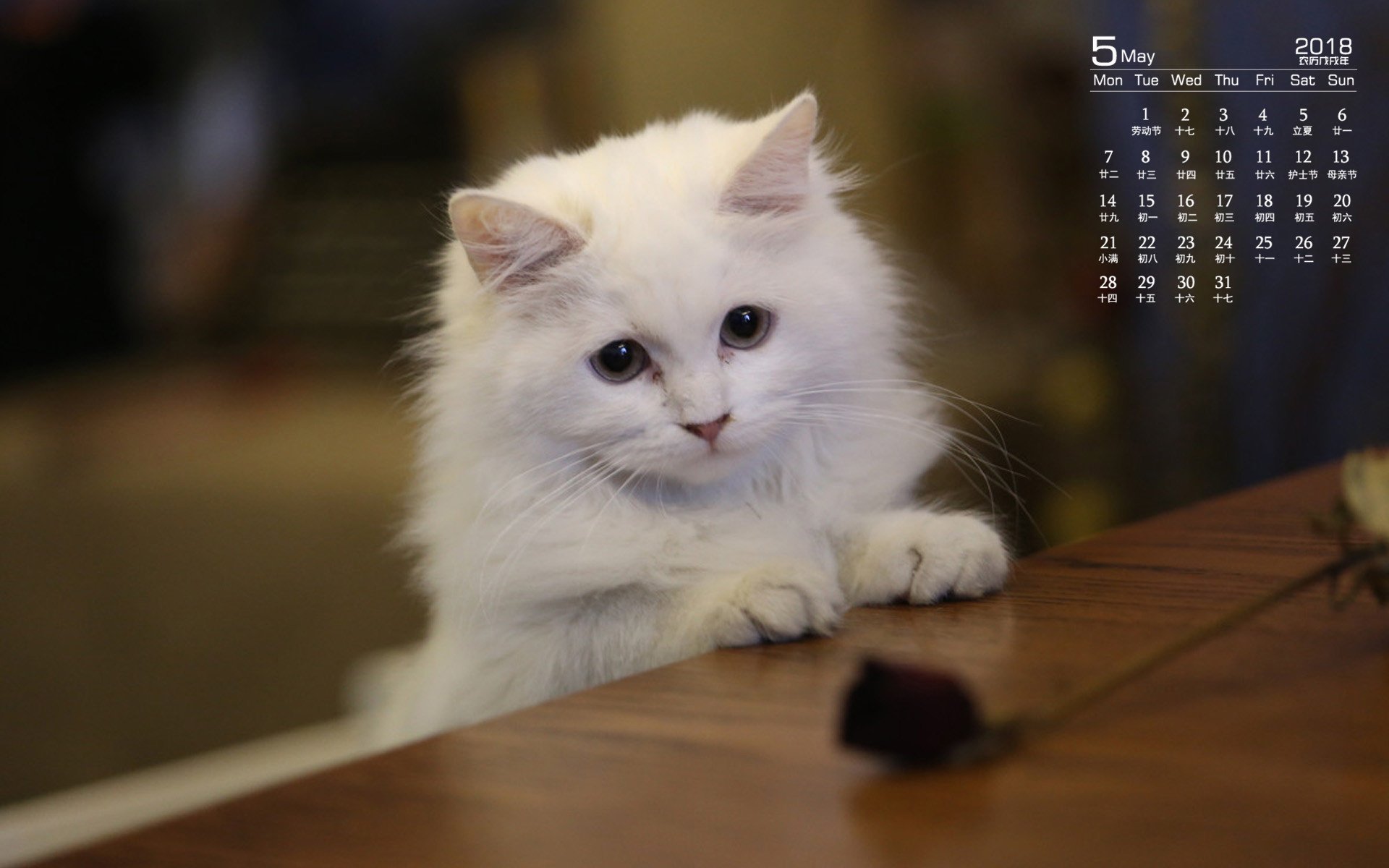 月历,2018年5月