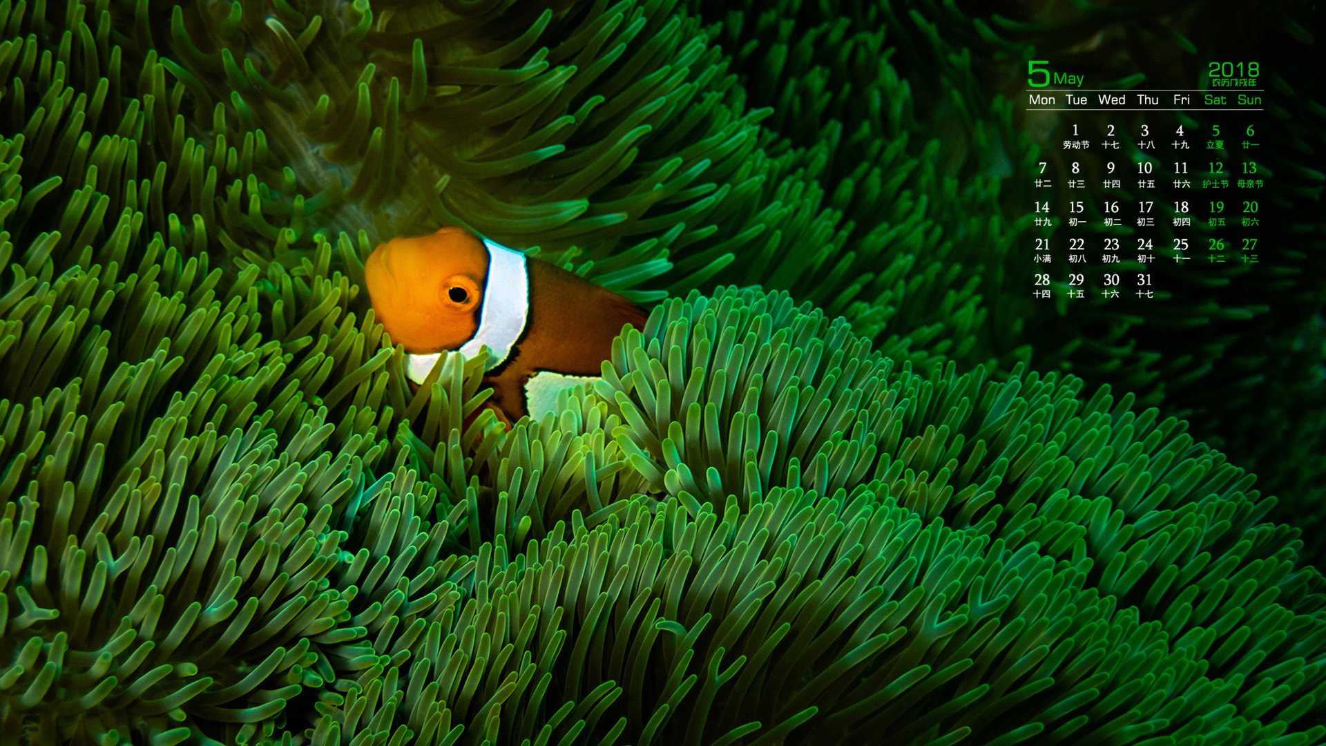 月历,2018年5月