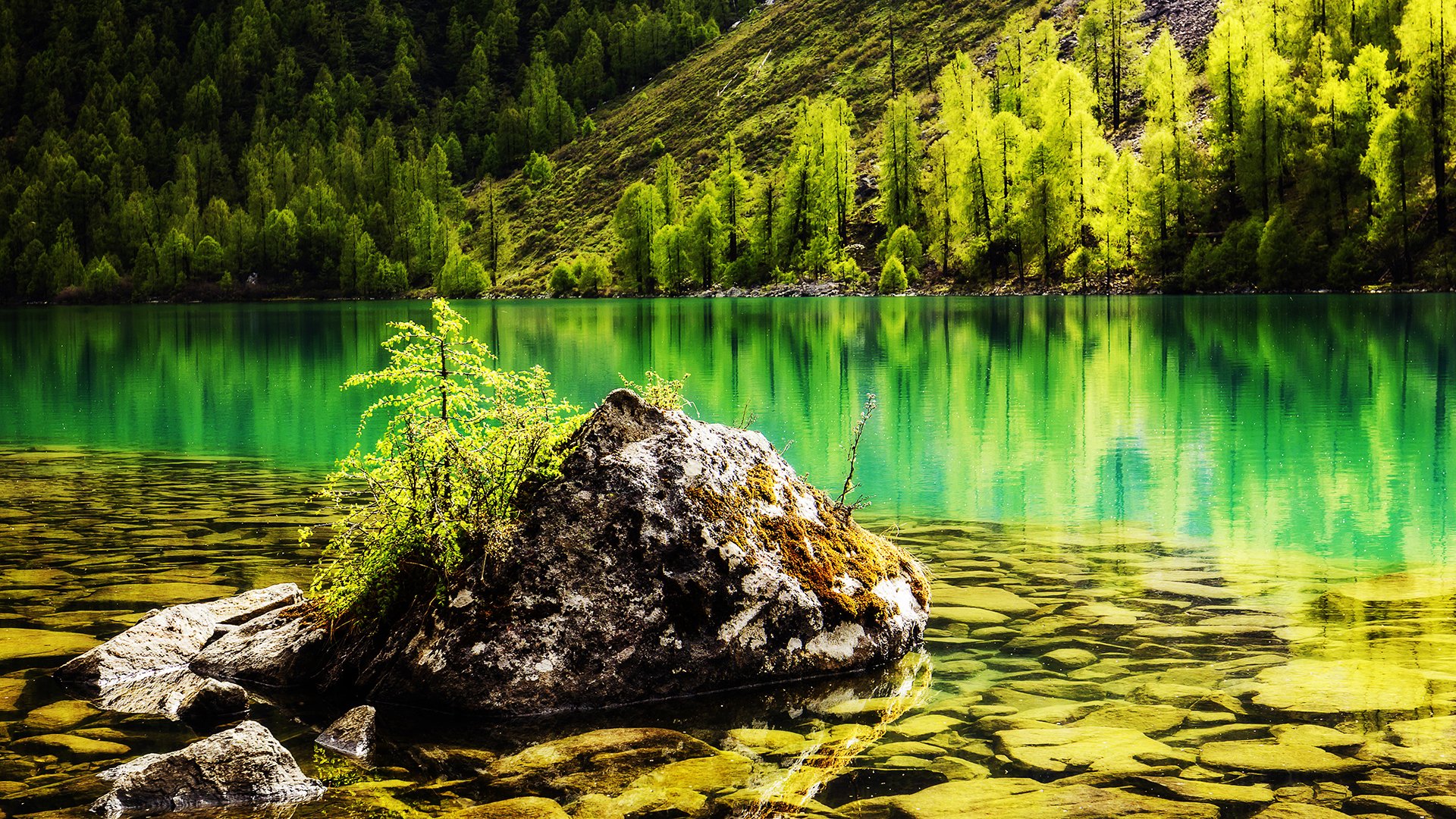 风景,旅游胜地,道孚甲依拉措,湖泊