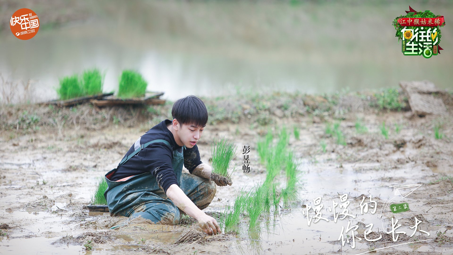 影视,综艺,向往的生活2,彭昱畅