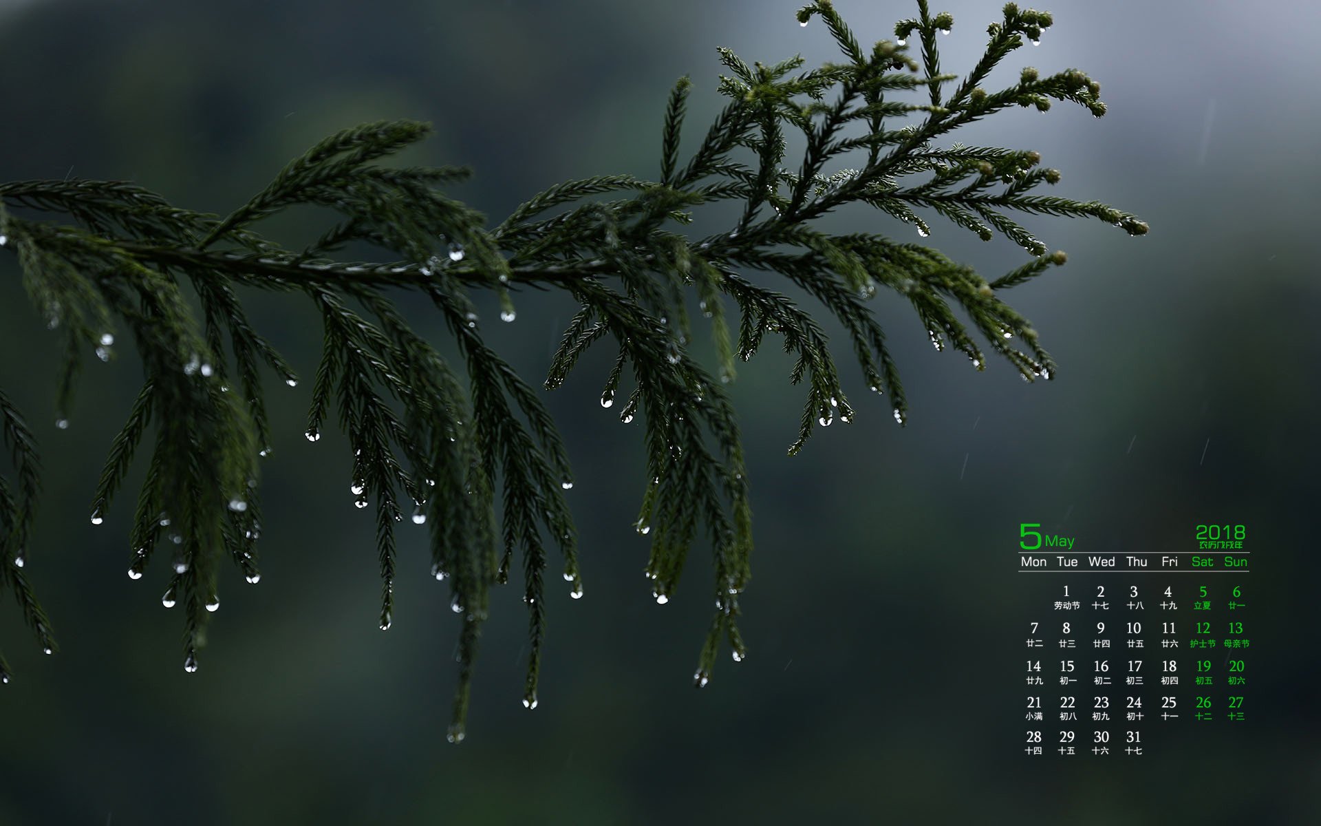 月历,2018年5月
