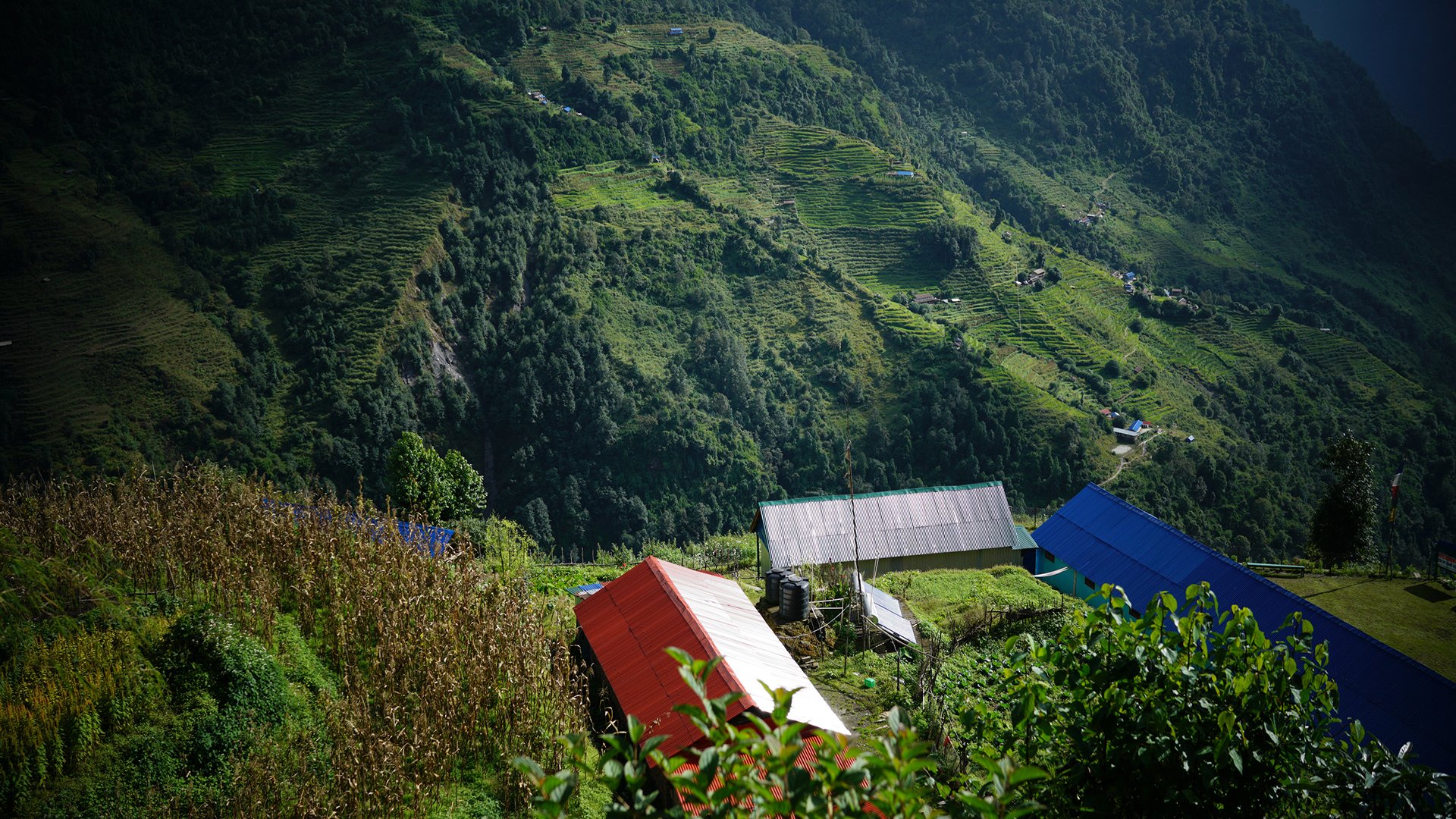 风景,自然风光,森林,山川