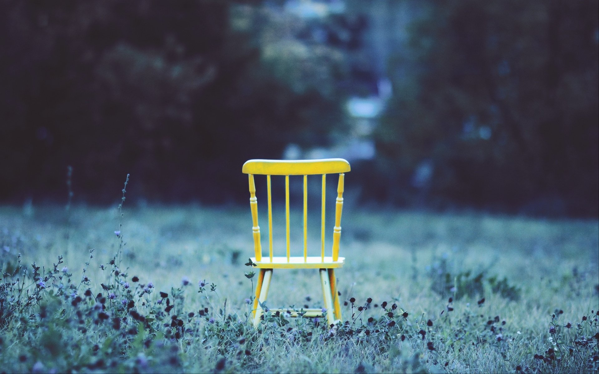 舒缓压力,花丛中的小板凳