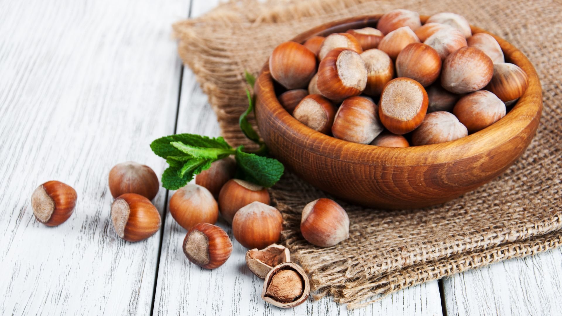 静物写真,栗子,板栗