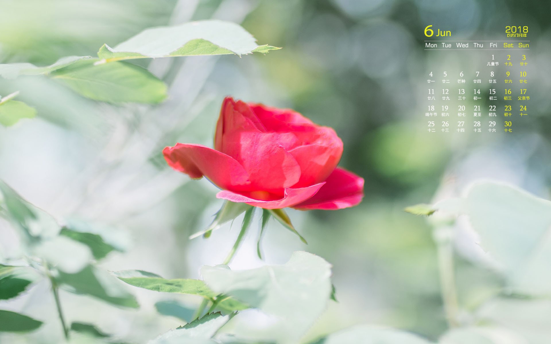 月历,2018年6月