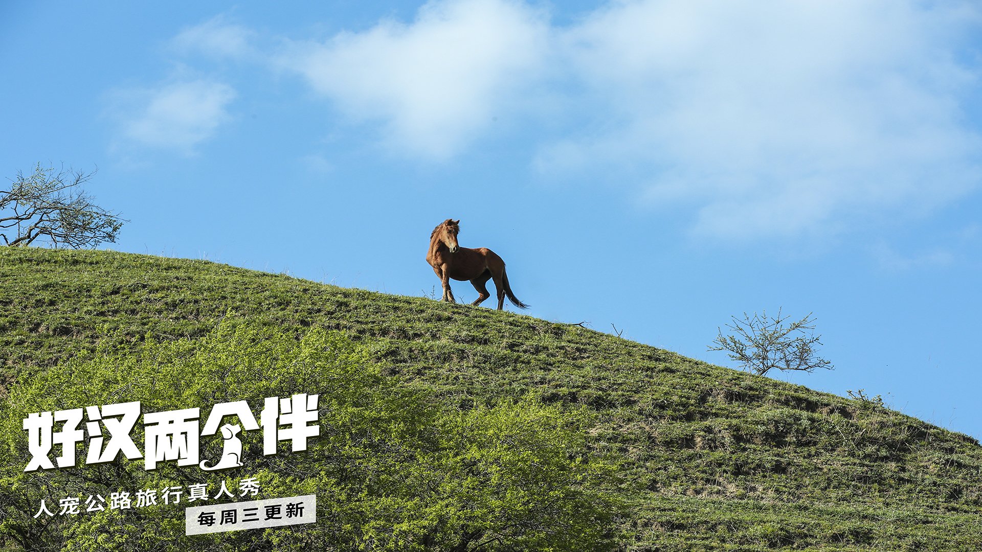 影视剧照,好汉两个半