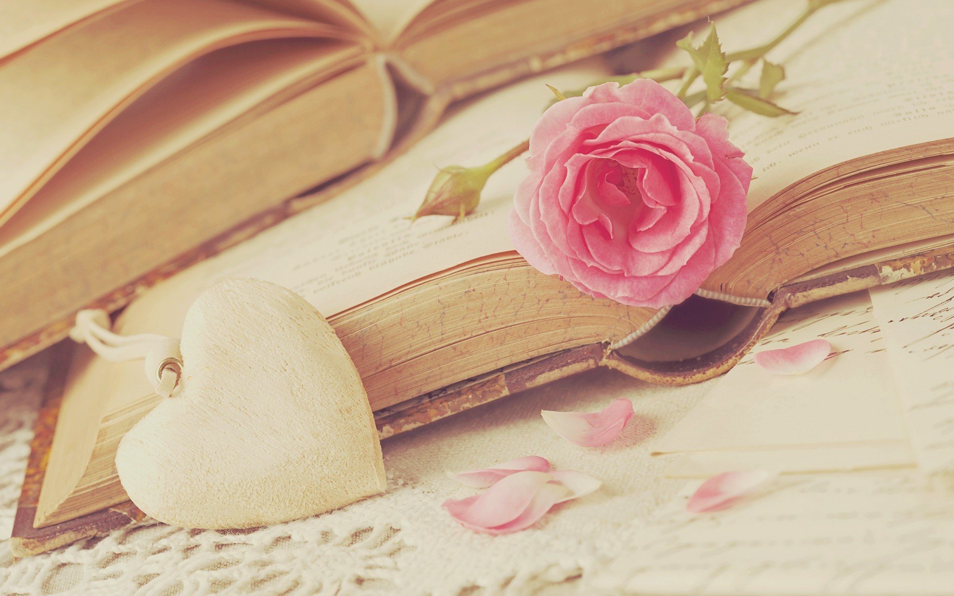 爱情箴言,书里的爱情,玫瑰