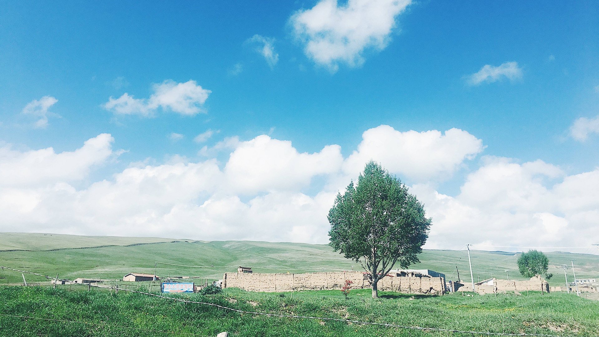 蓝天白云,绿色草坪,草原