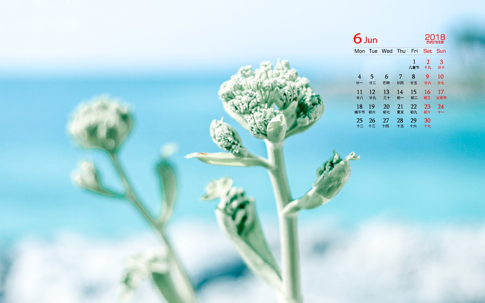 月历,2018年6月