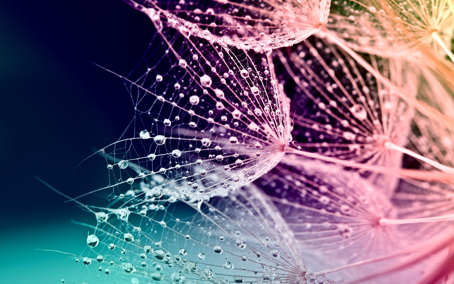 炫彩,炫丽的颜色,五颜六色