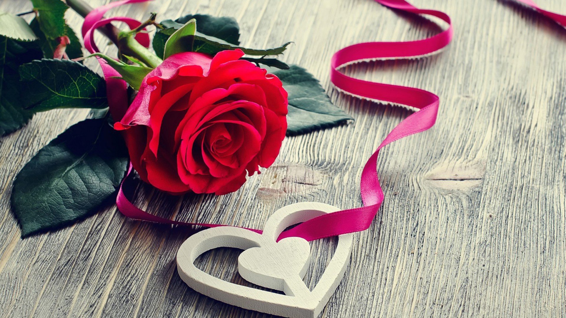 唯美温馨,情人节,情侣,玫瑰