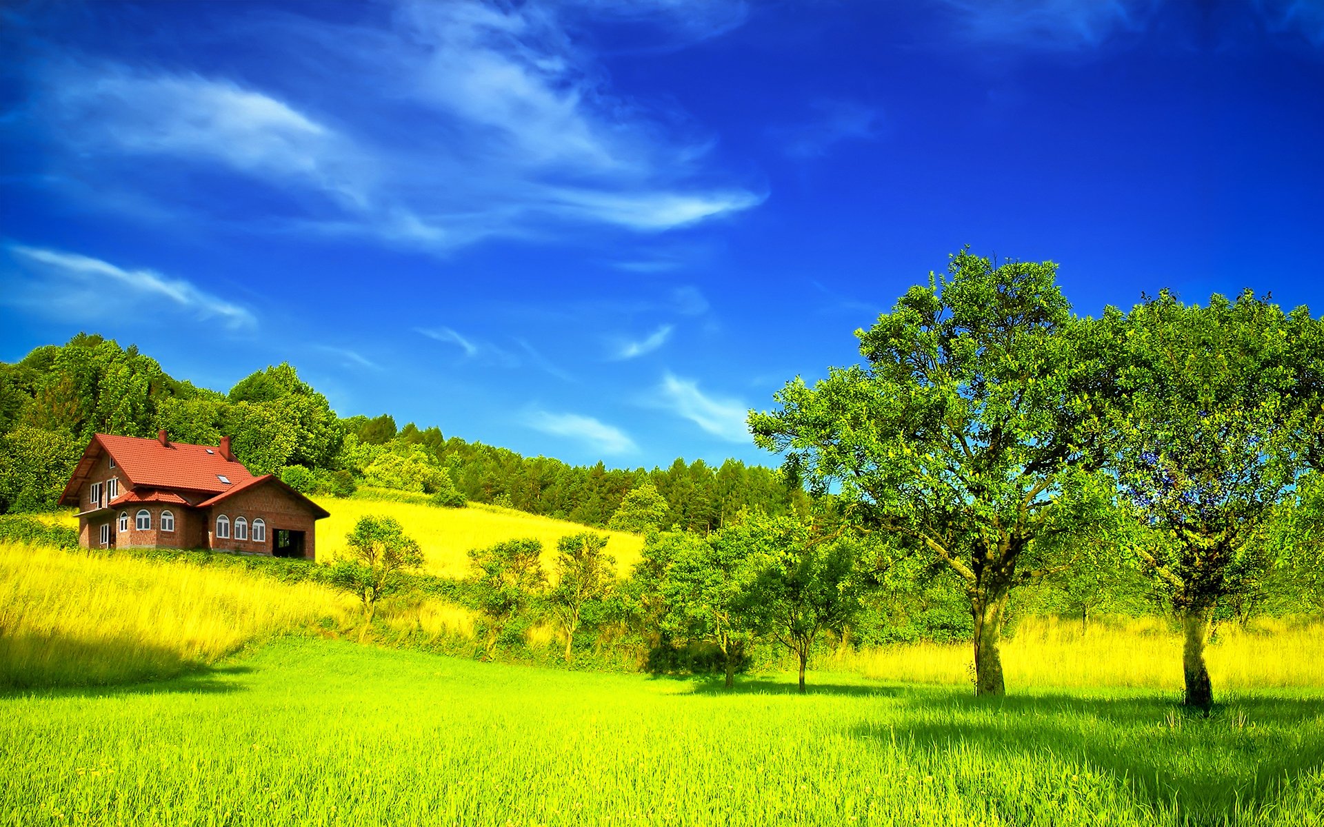 春意盎然,草原,绿树小房