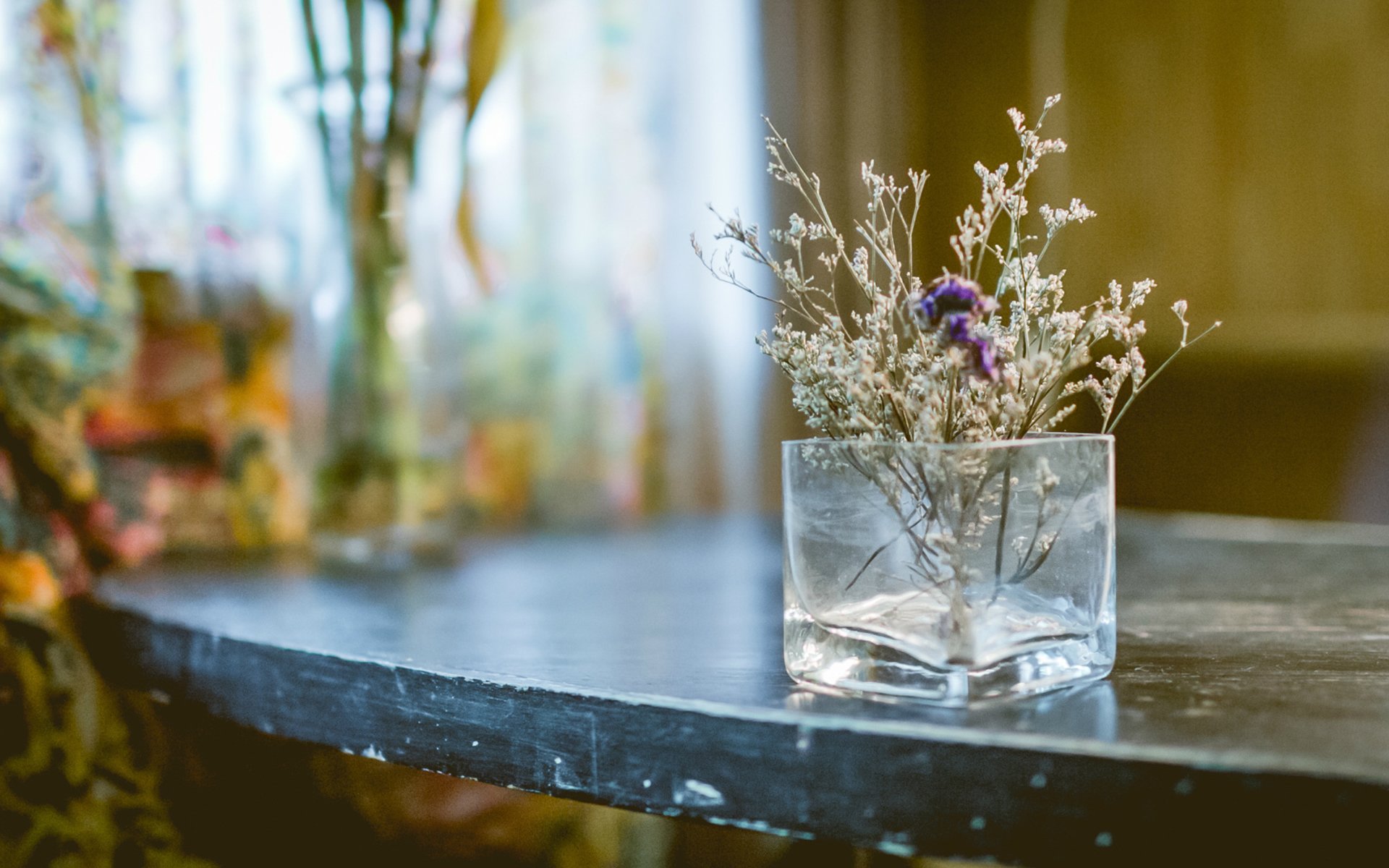 静物写真,杯子,干花,桌面