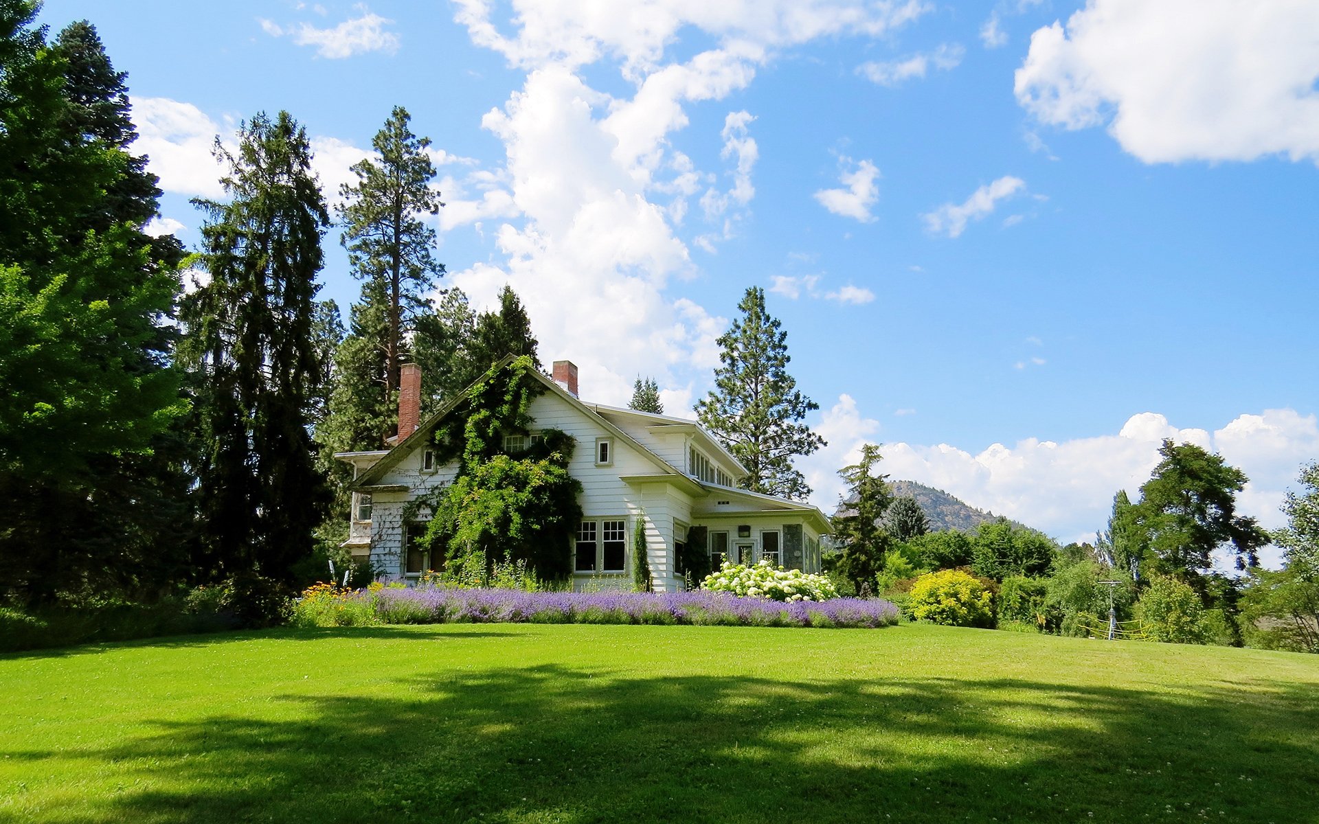蓝天白云,绿色草坪,乡间小屋