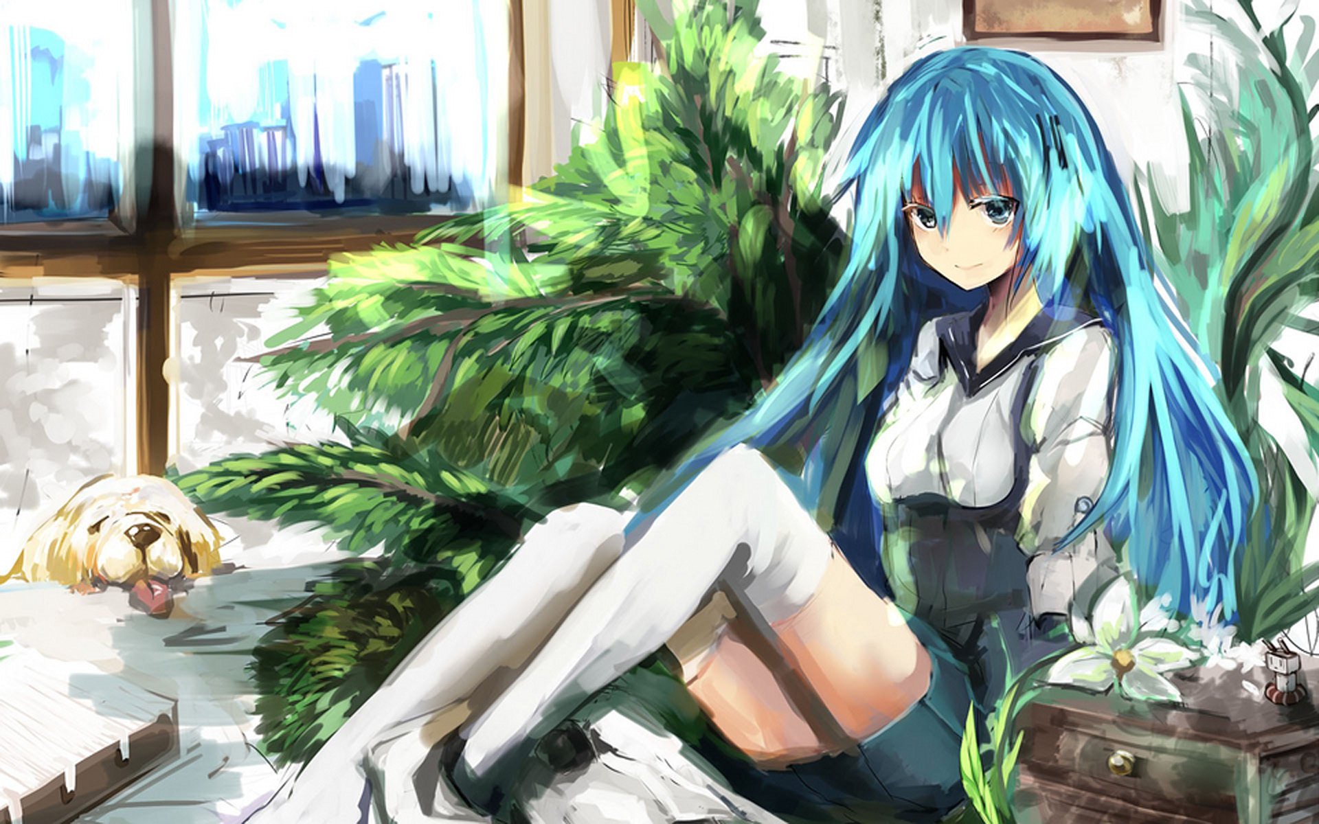 动漫,软萌,可爱,二次元