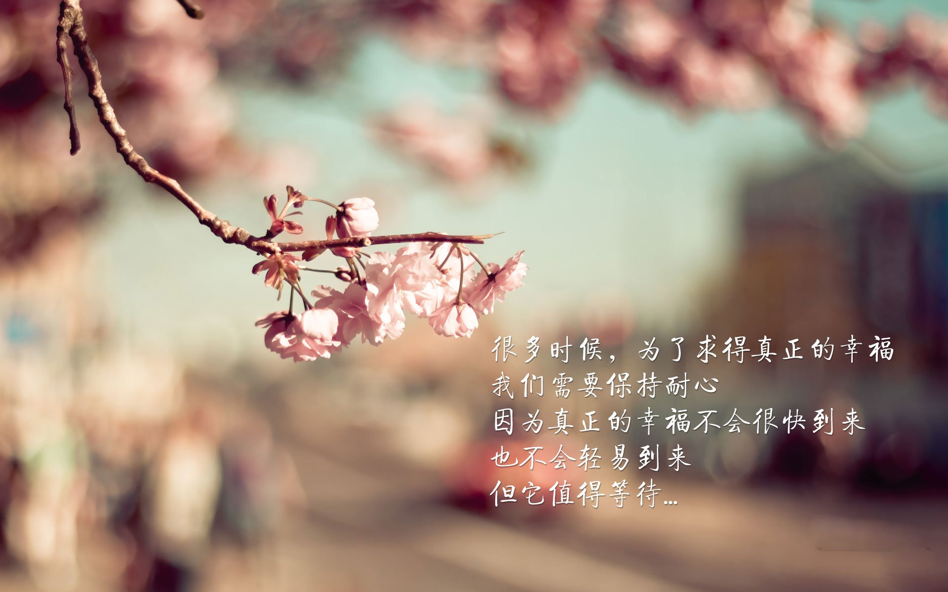 文字控,幸福需要等待