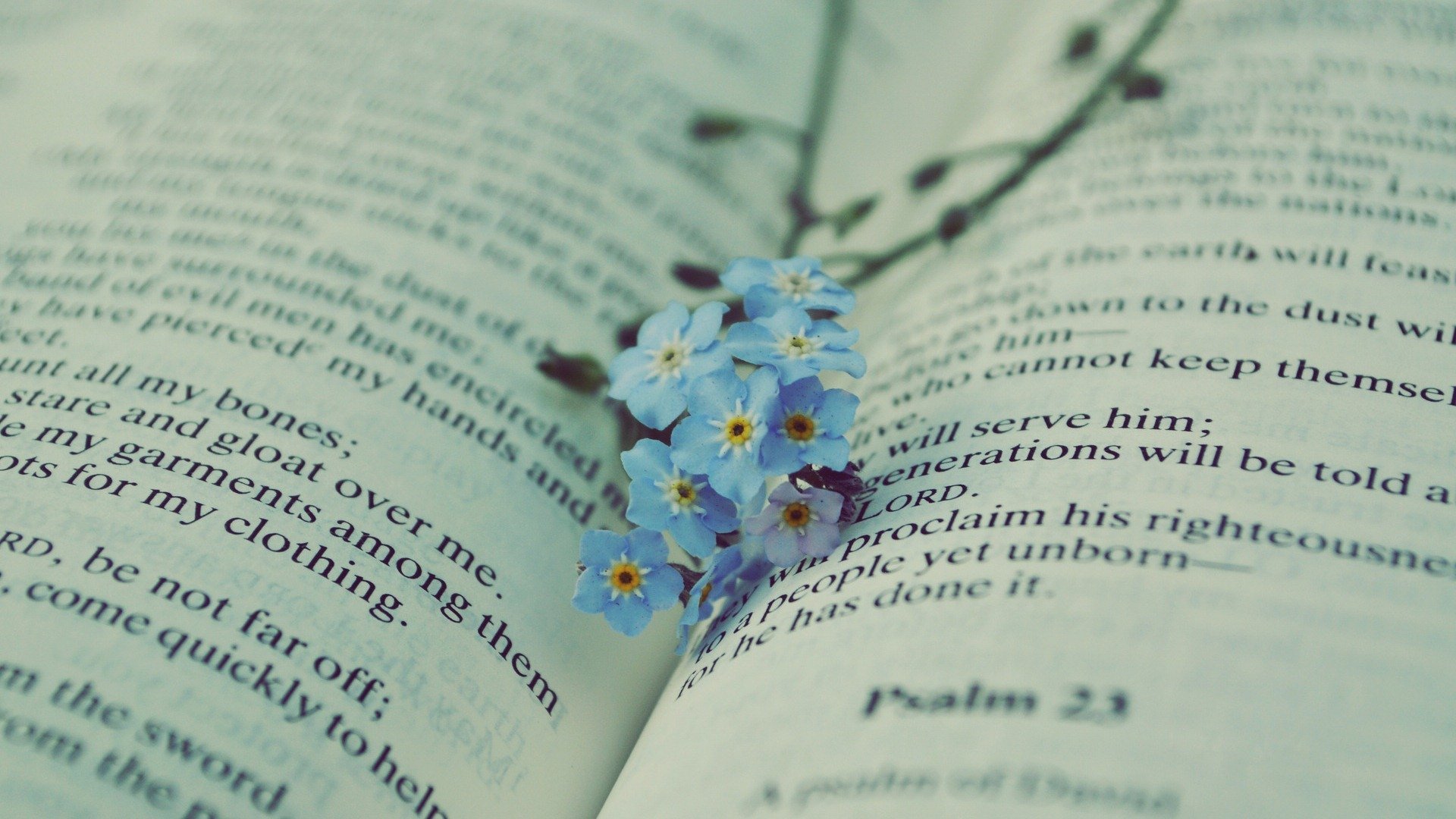 舒缓压力,书中的一抹颜色