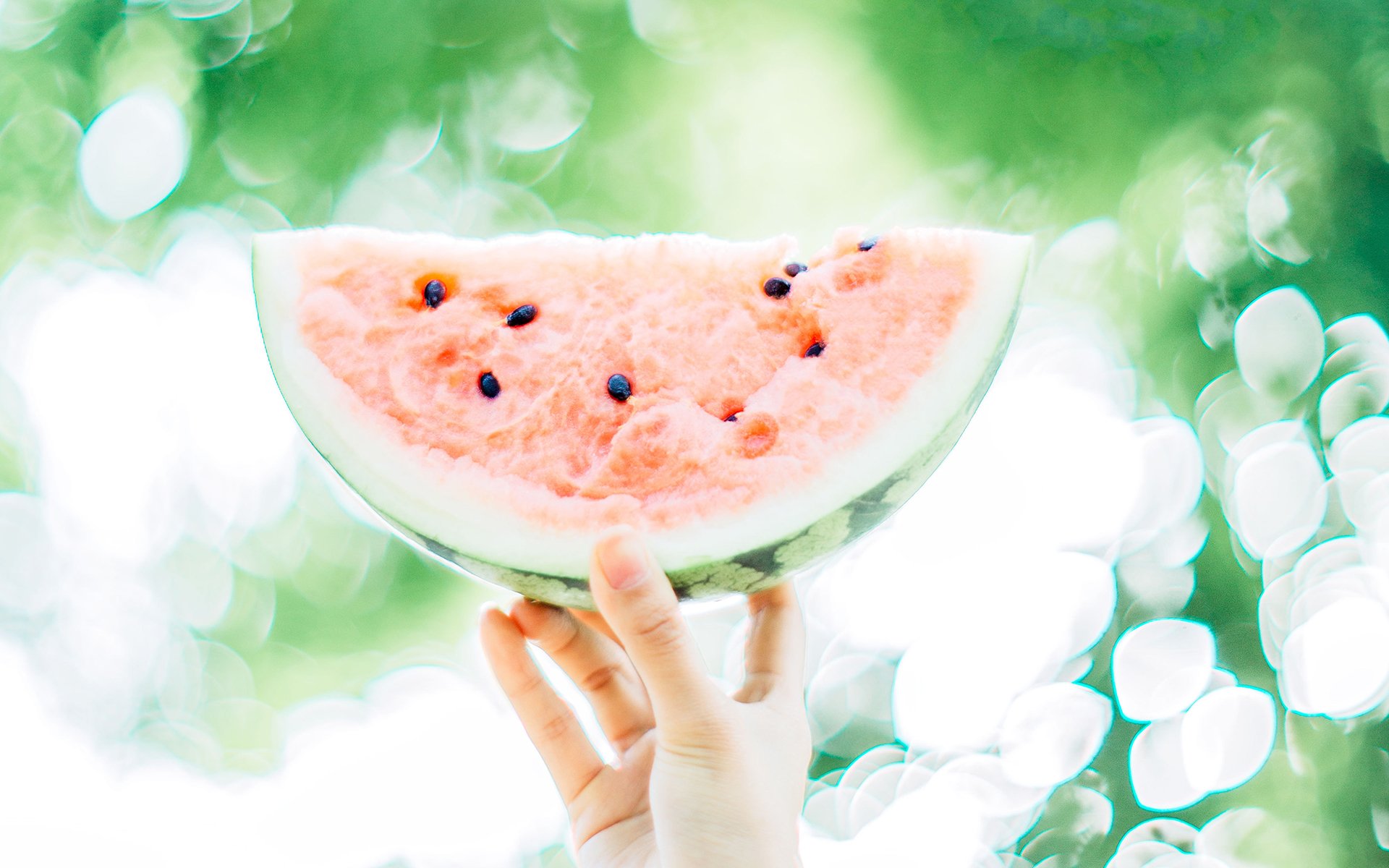 静物写真,夏日,凉爽,西瓜