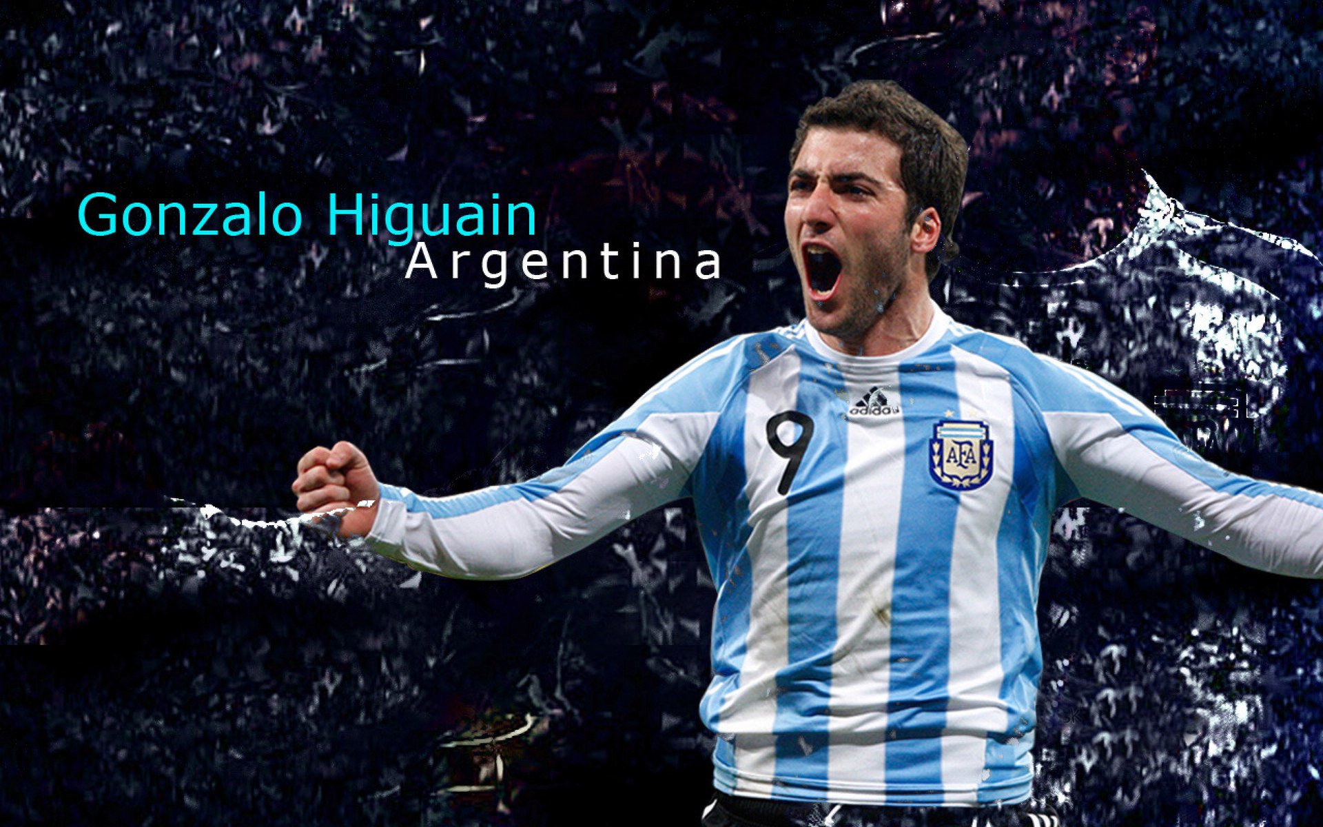 阿根廷球星,冈萨洛·伊瓜因