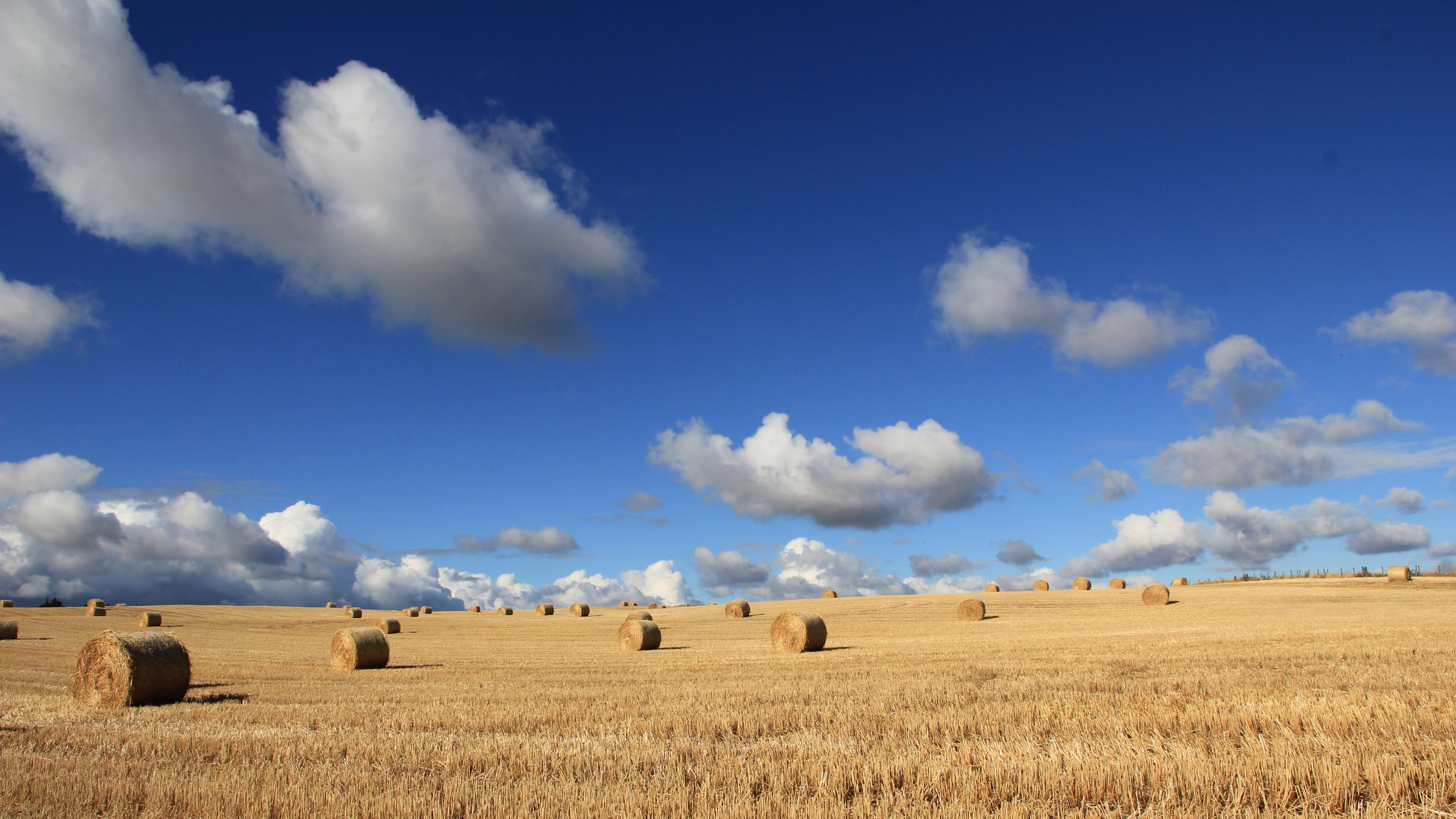 蓝天,白云,一望无际的尽头