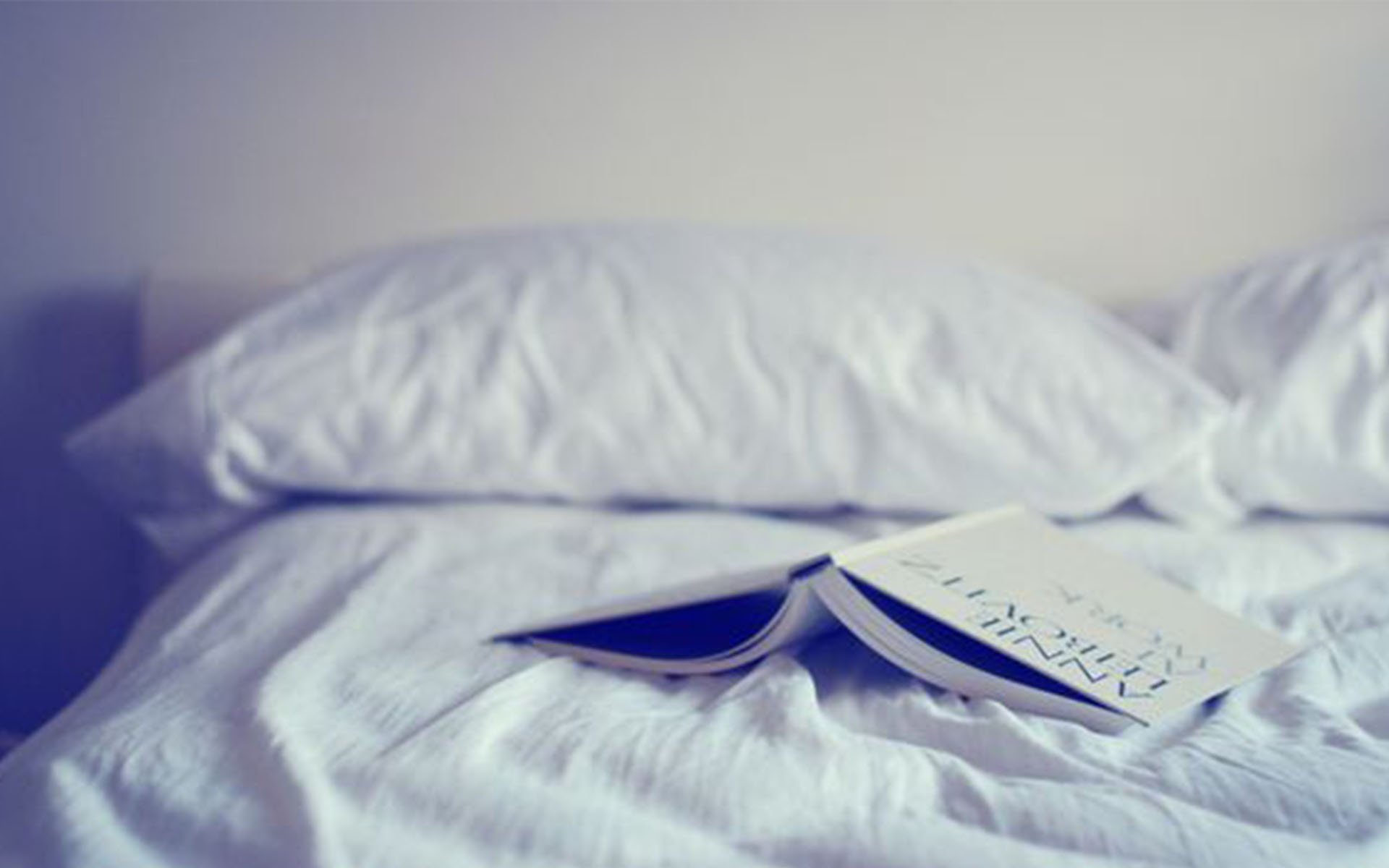 小清新,舒缓压力,书