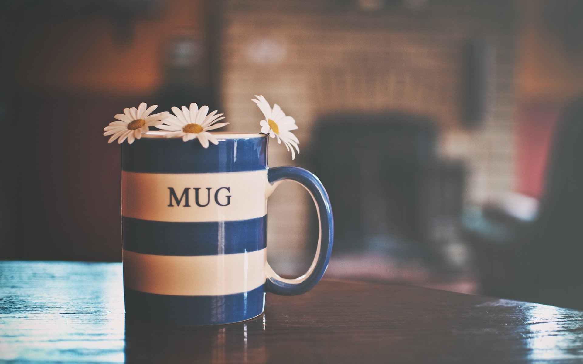 舒缓压力,杯中的小雏菊