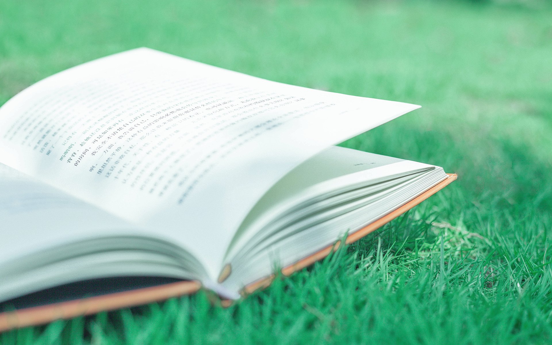 静物写真,文艺小清新