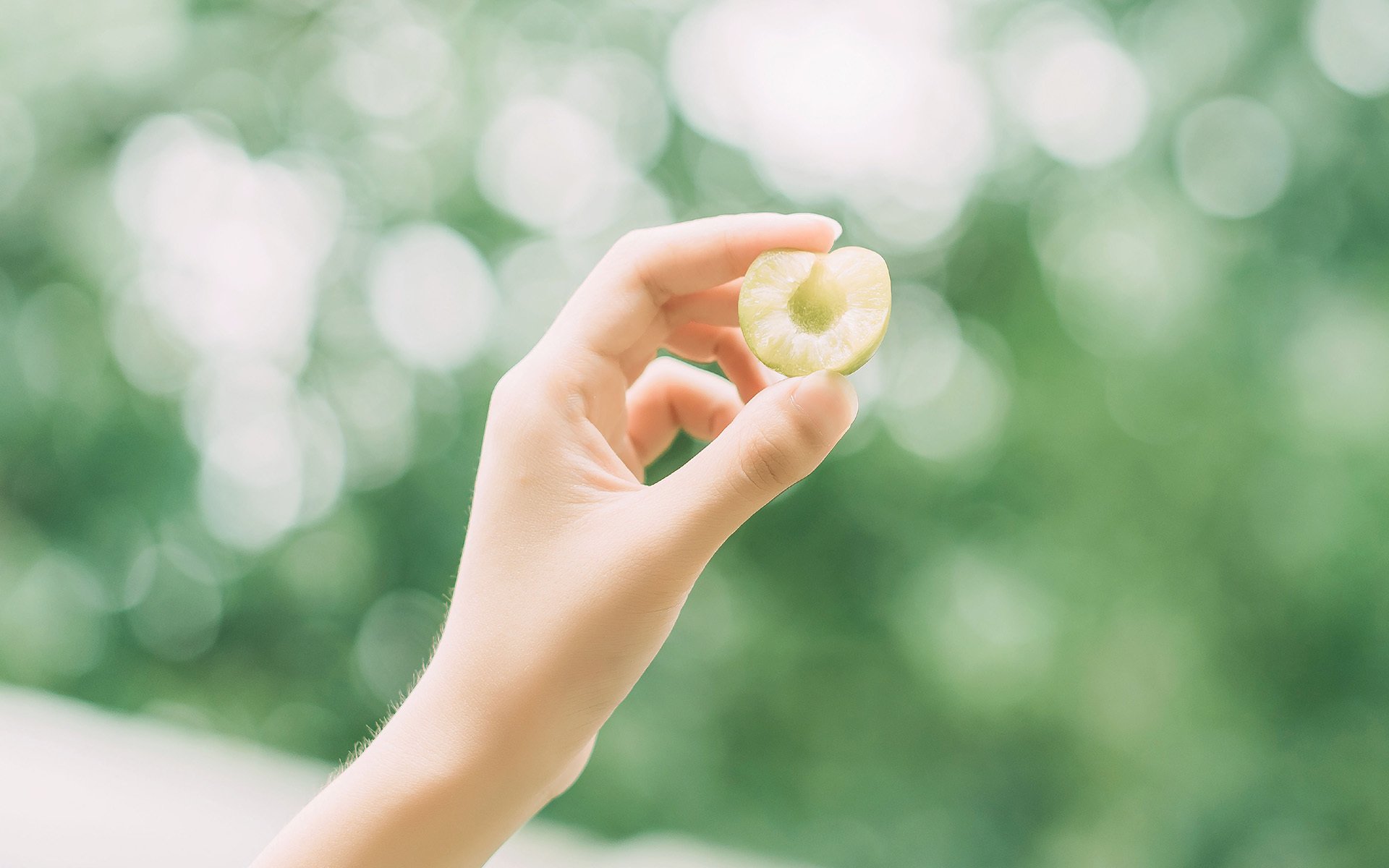 静物写真,夏日的李子