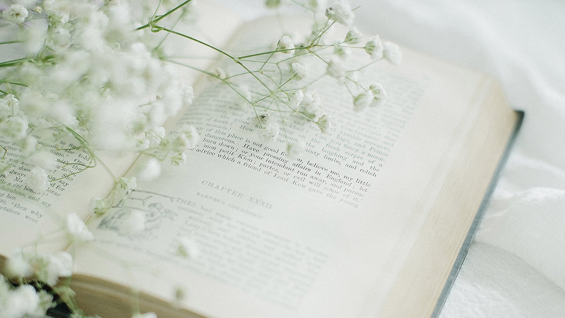 静物写真,书中自有满天星