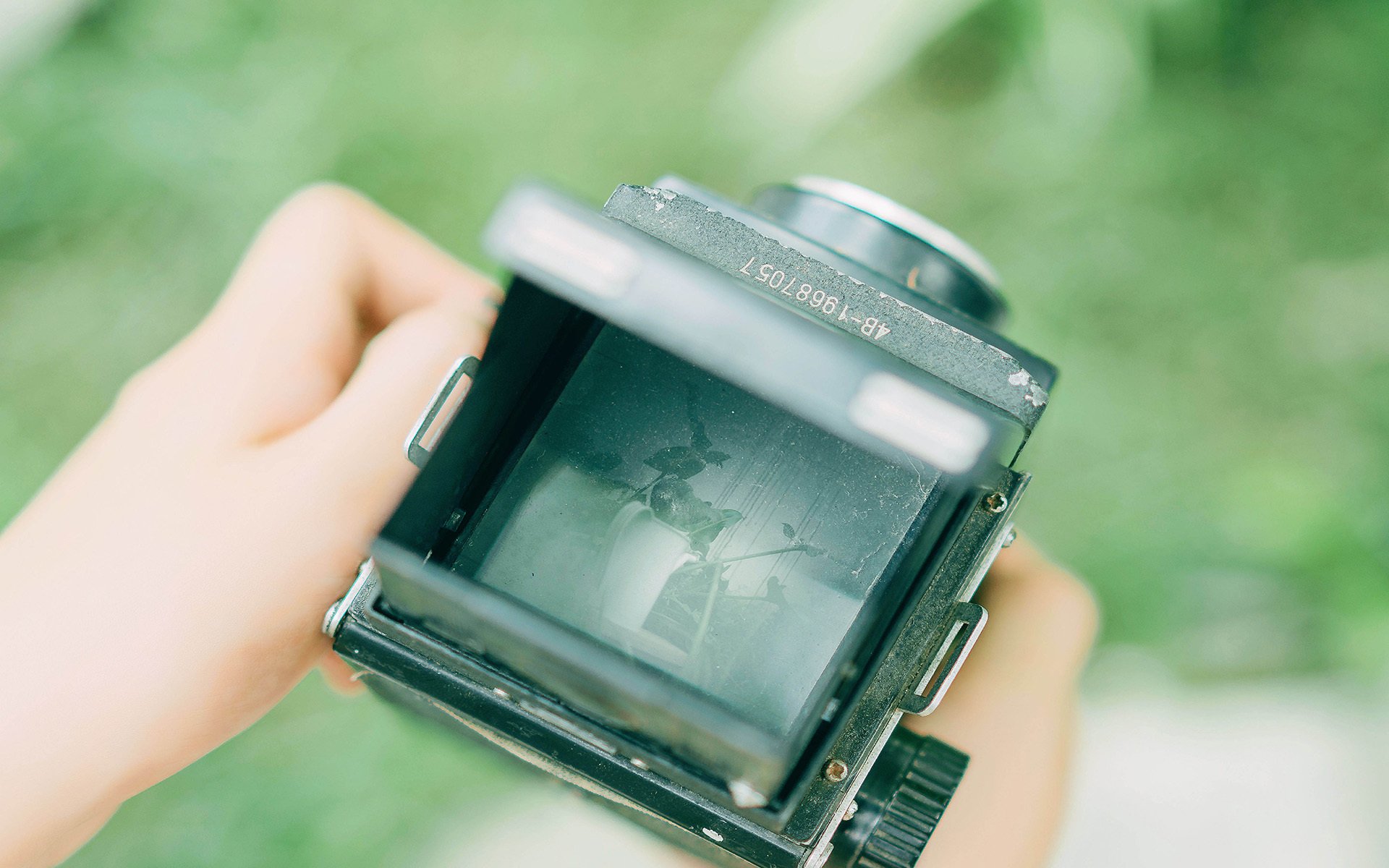 静物写真,照相机,夏日