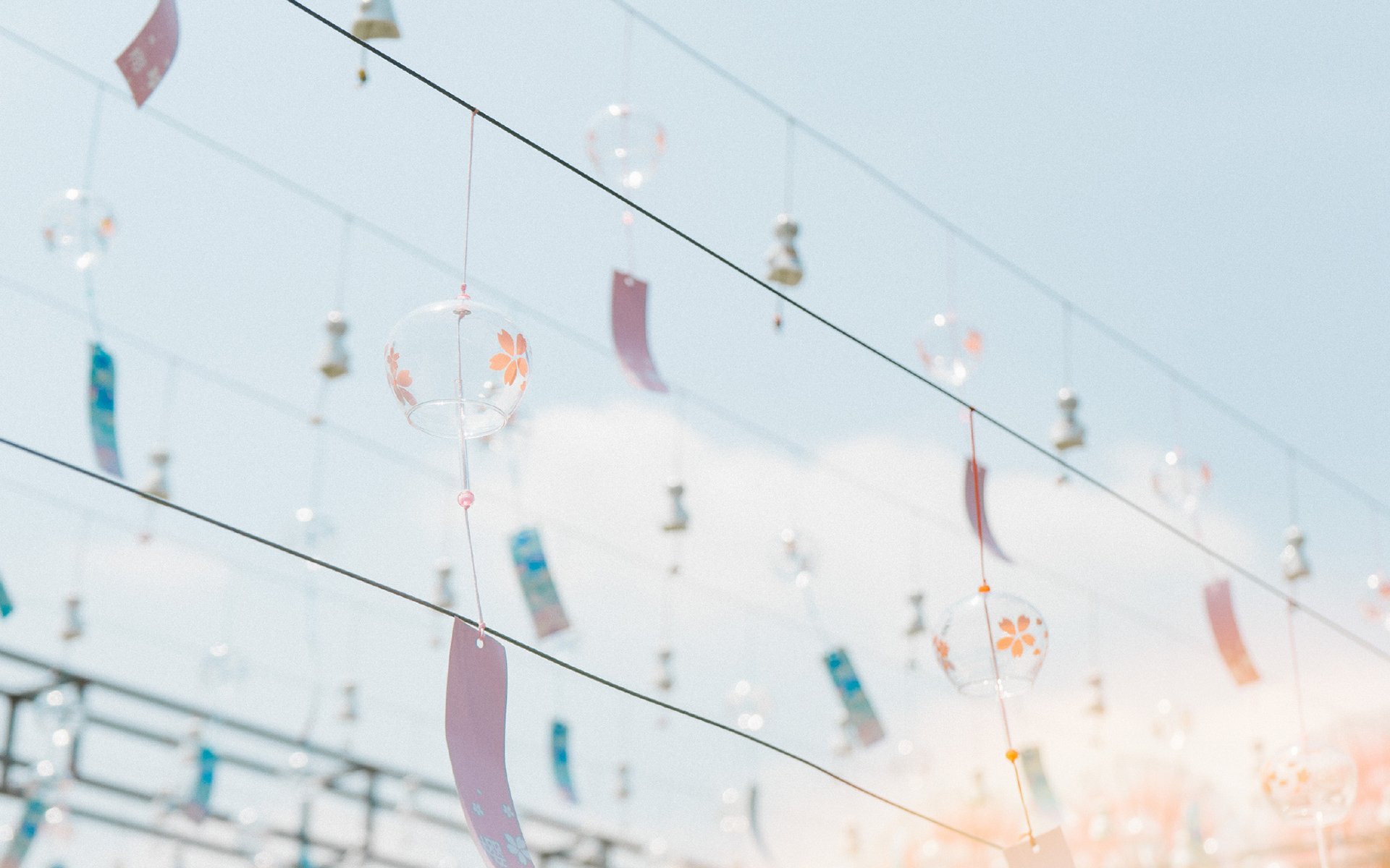 静物写真,文艺小清新