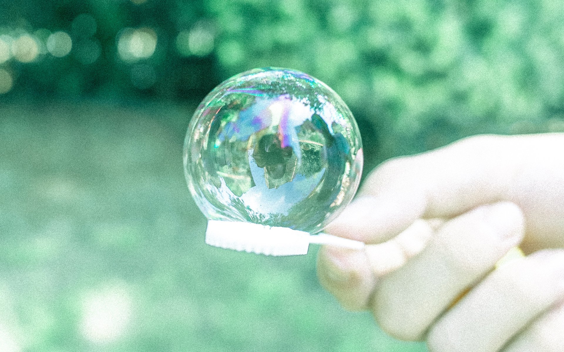 静物写真,日系清新养眼高清桌面