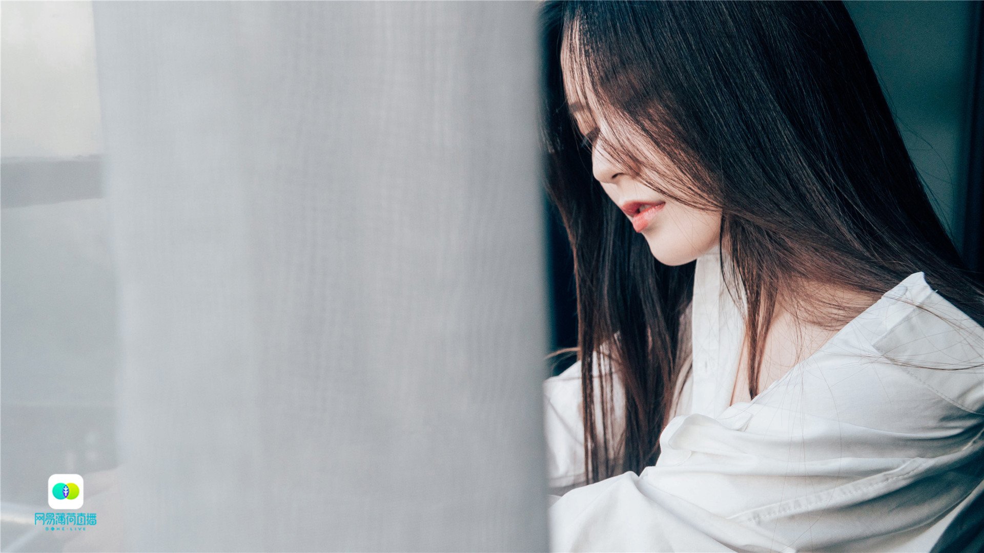 清纯,网易薄荷直播美女