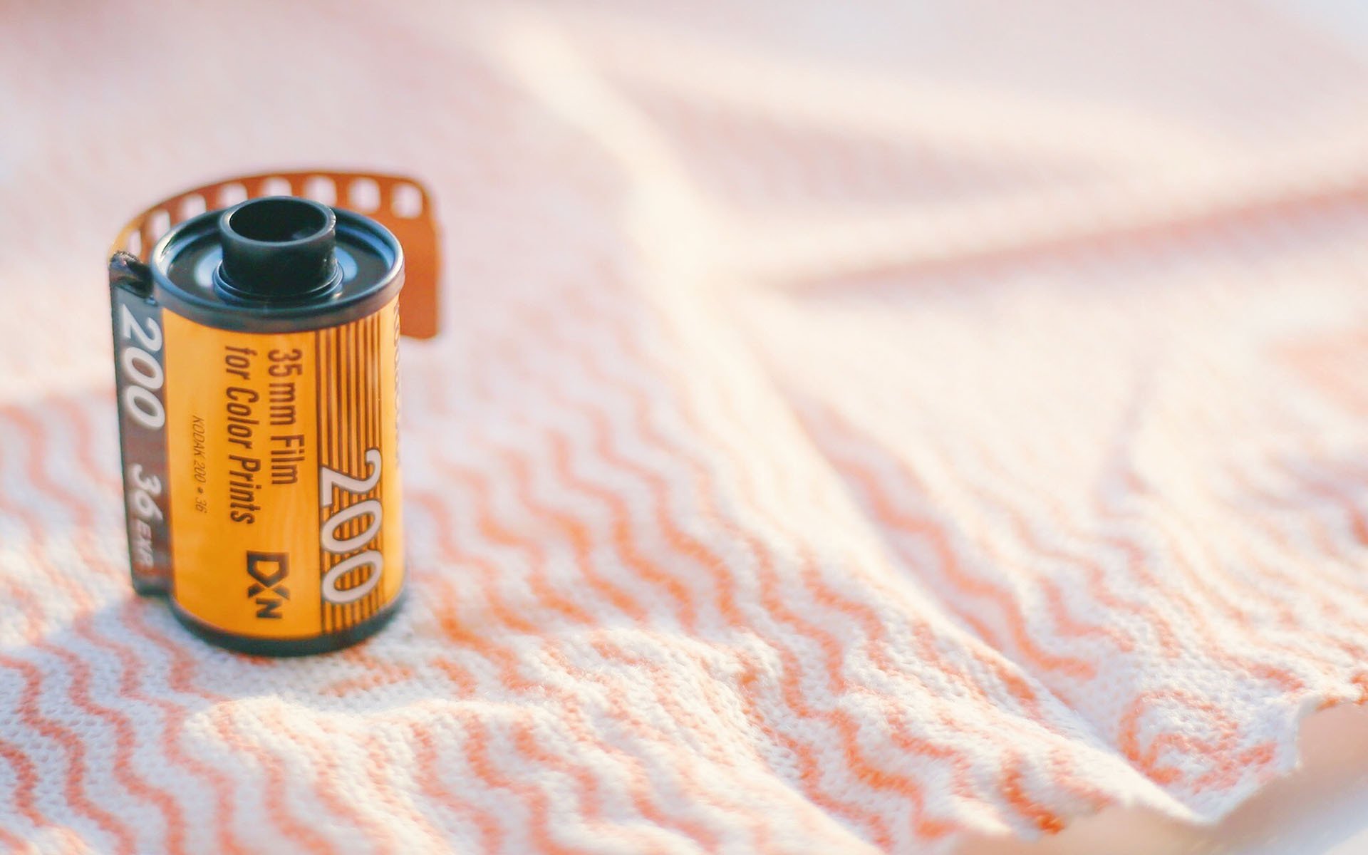 静物写真,唯美意境小清新图片