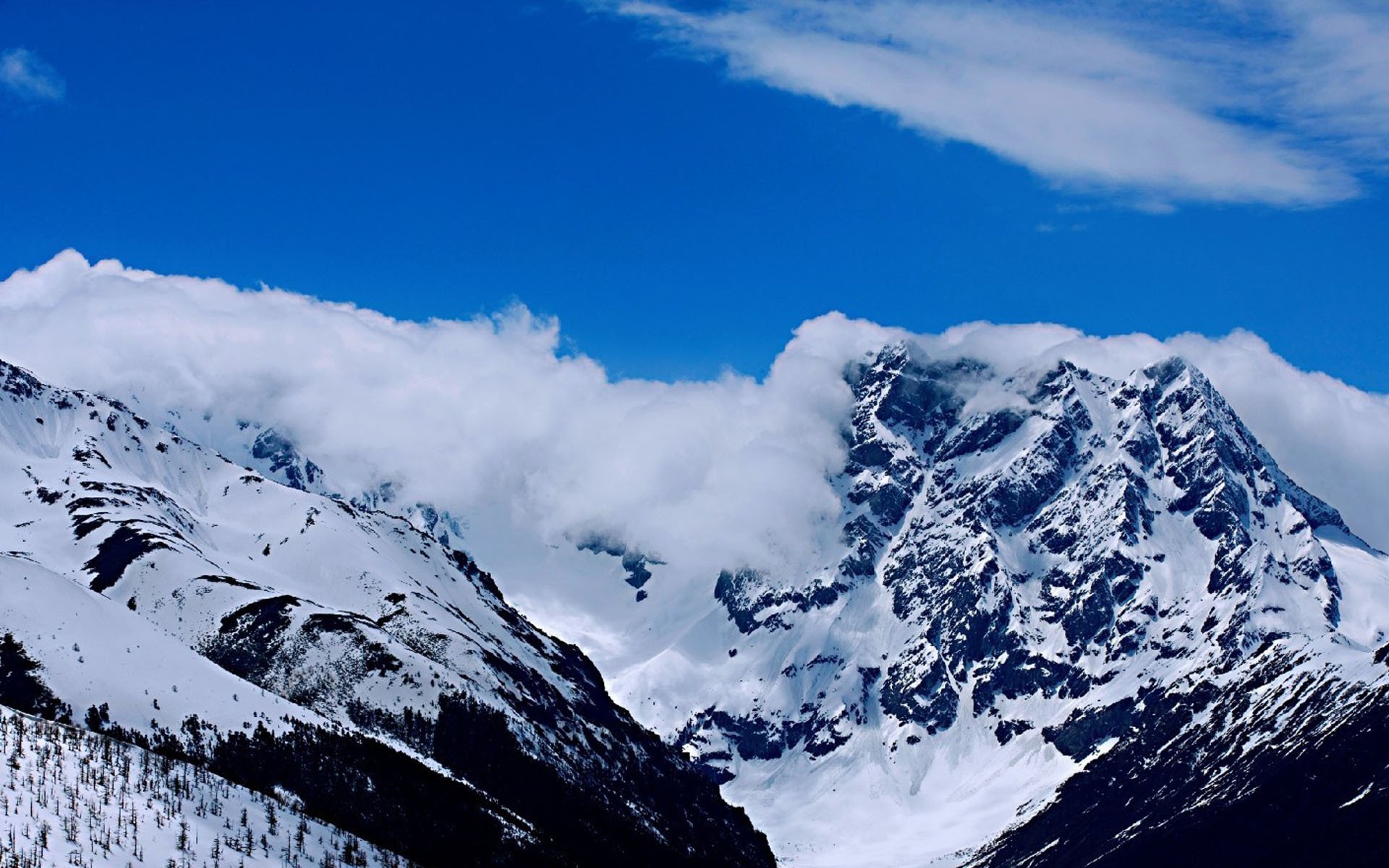 冰天雪地,云南白马雪山风景