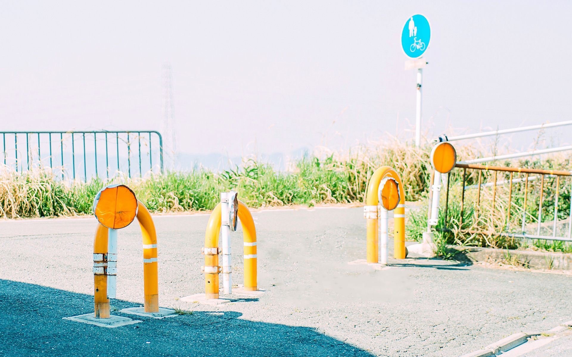 静物写真,简单小清新桌面