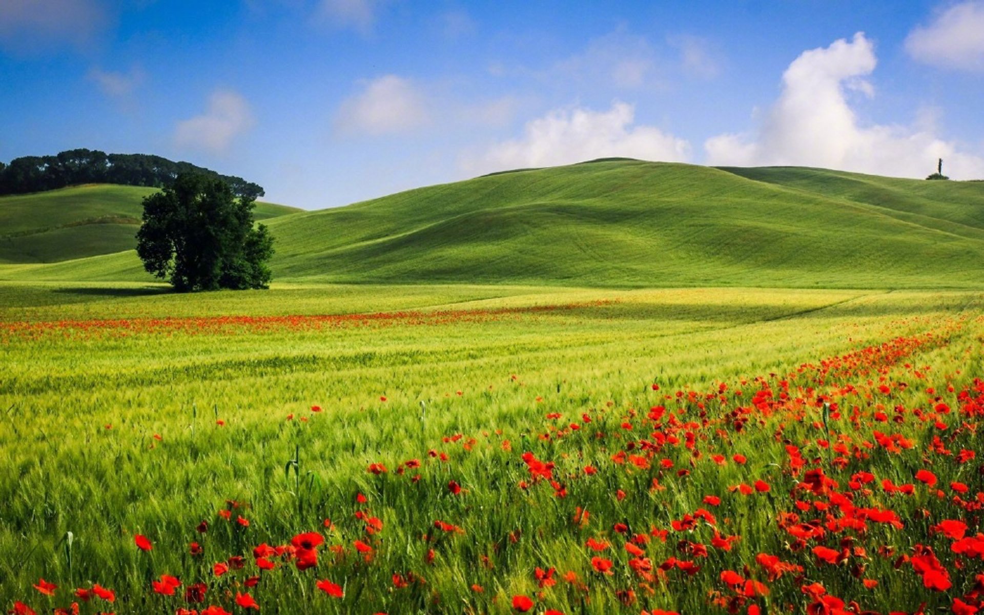 蓝天白云,碧水蓝天,山水风光