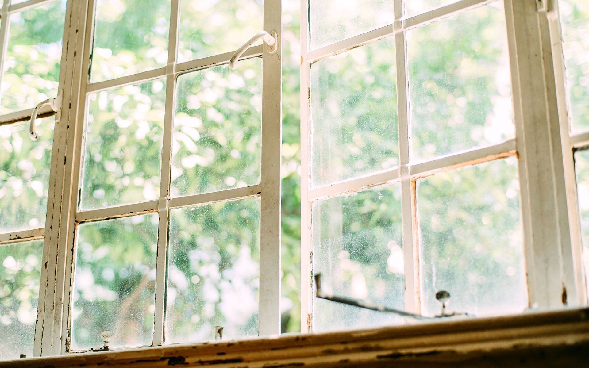 静物写真,小清新绿色风景