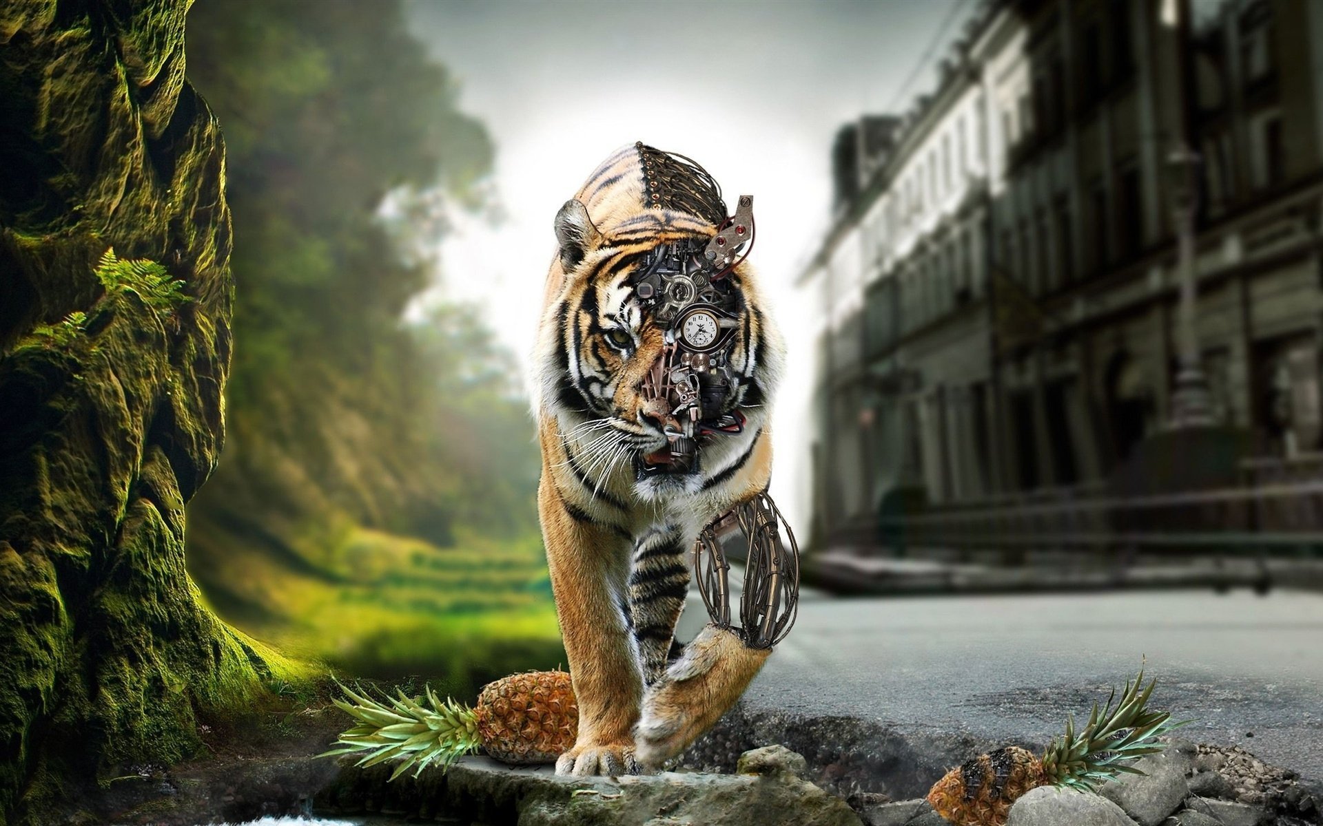 炫酷,酷帅的老虎