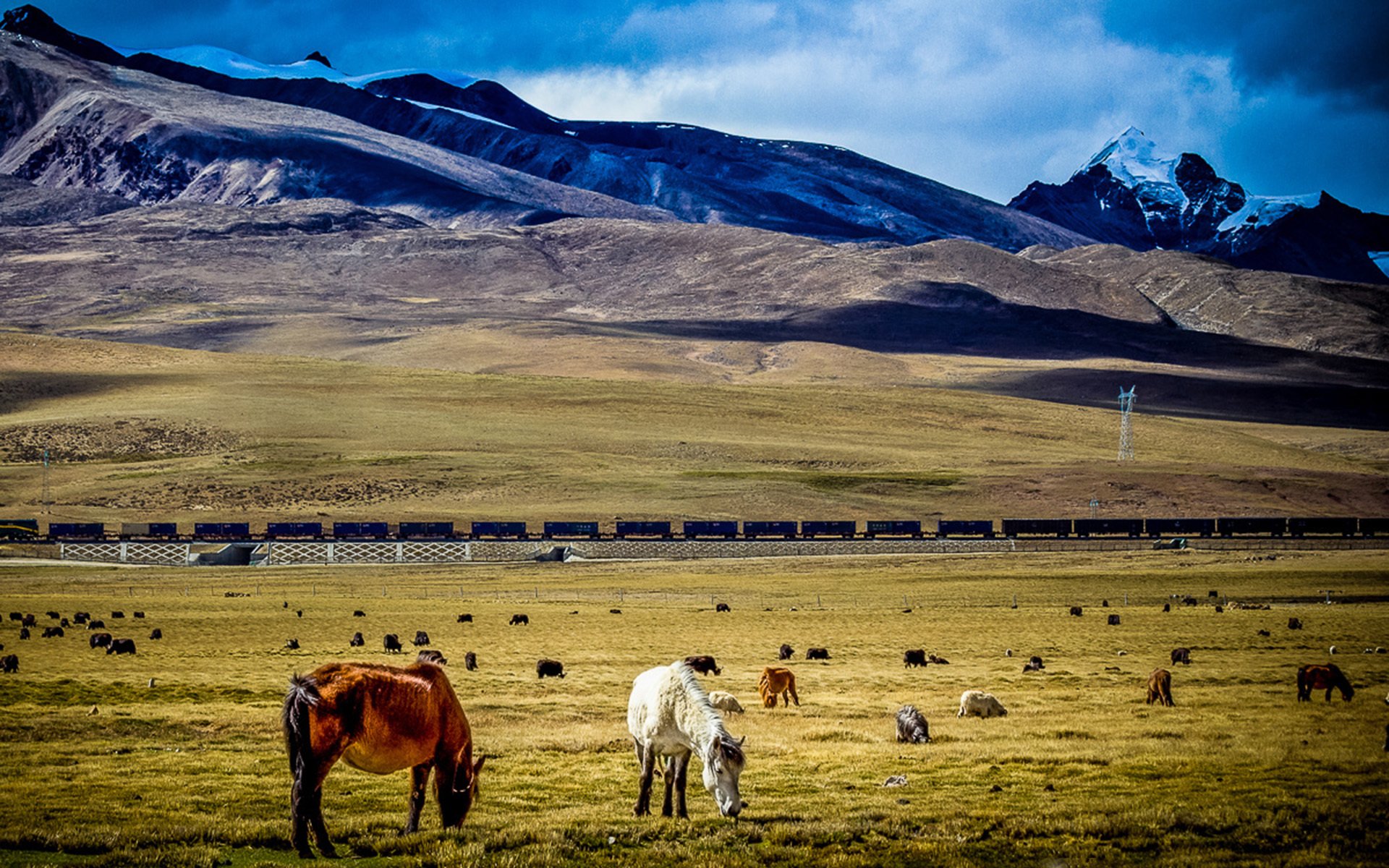 蓝天白云,绿色草坪,草原