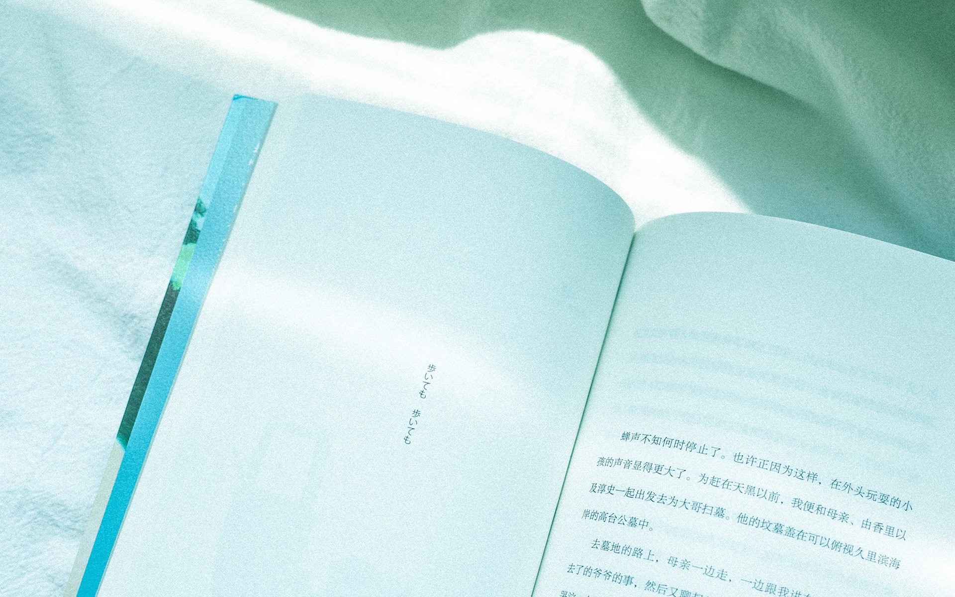 静物写真,书中自有黄金屋