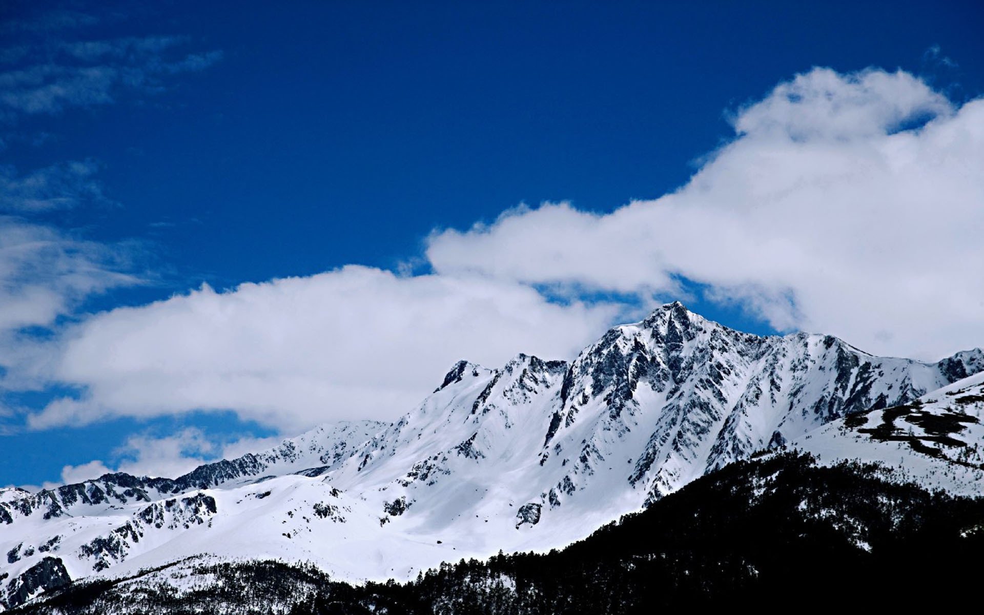 冰天雪地,云南白马雪山风景